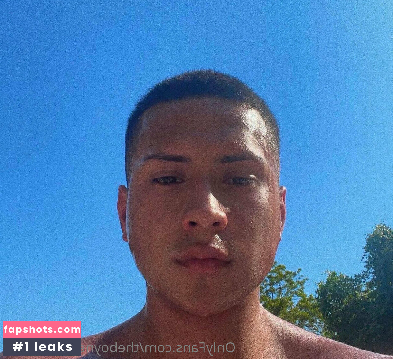 officailarq gallery photo #10