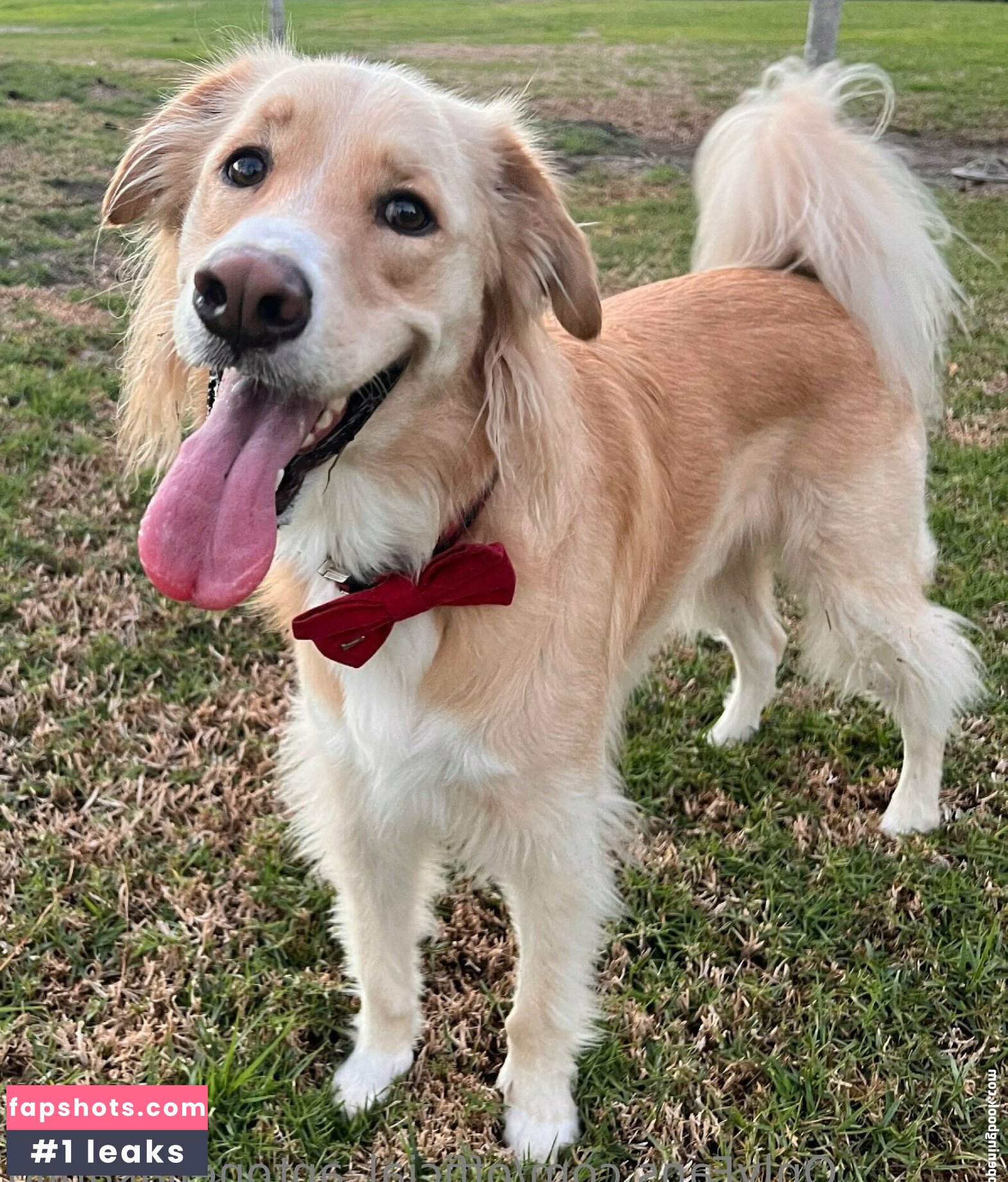 official_antonellakahllo gallery photo #43