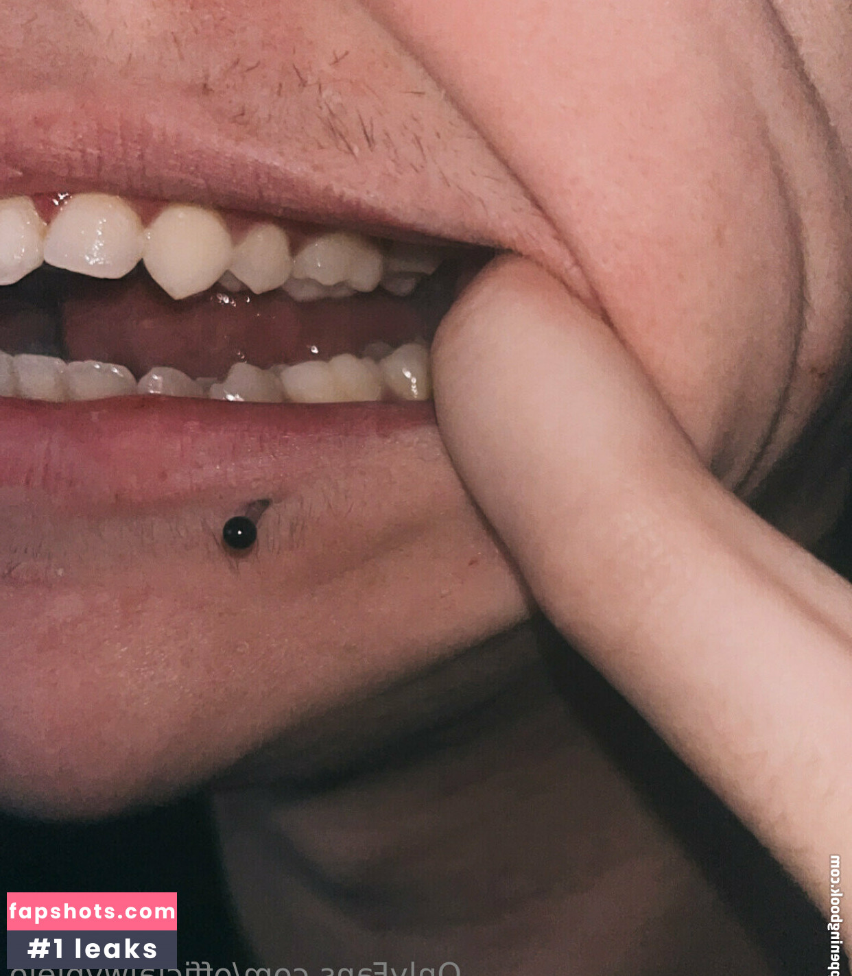 officialwybielo Nude Leaks OnlyFans Photos #4 - LeakJerk