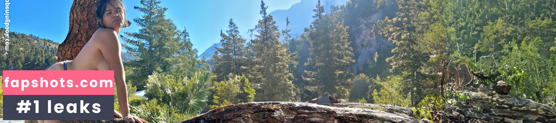 OGBeefStew gallery photo #12