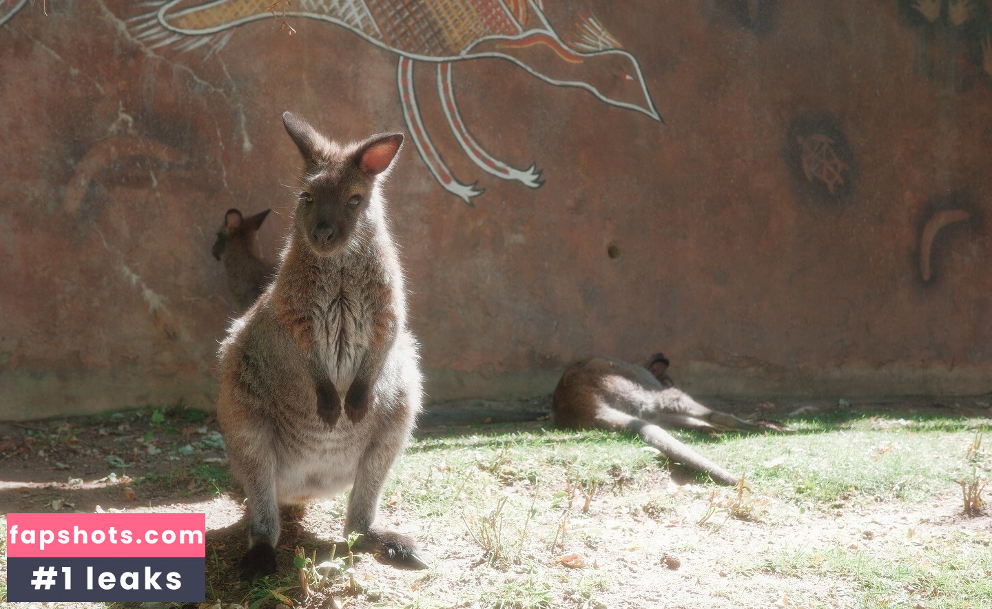 ohkaylin Nahé úniky fotek pouze od fanoušků #22 - Fapshots
