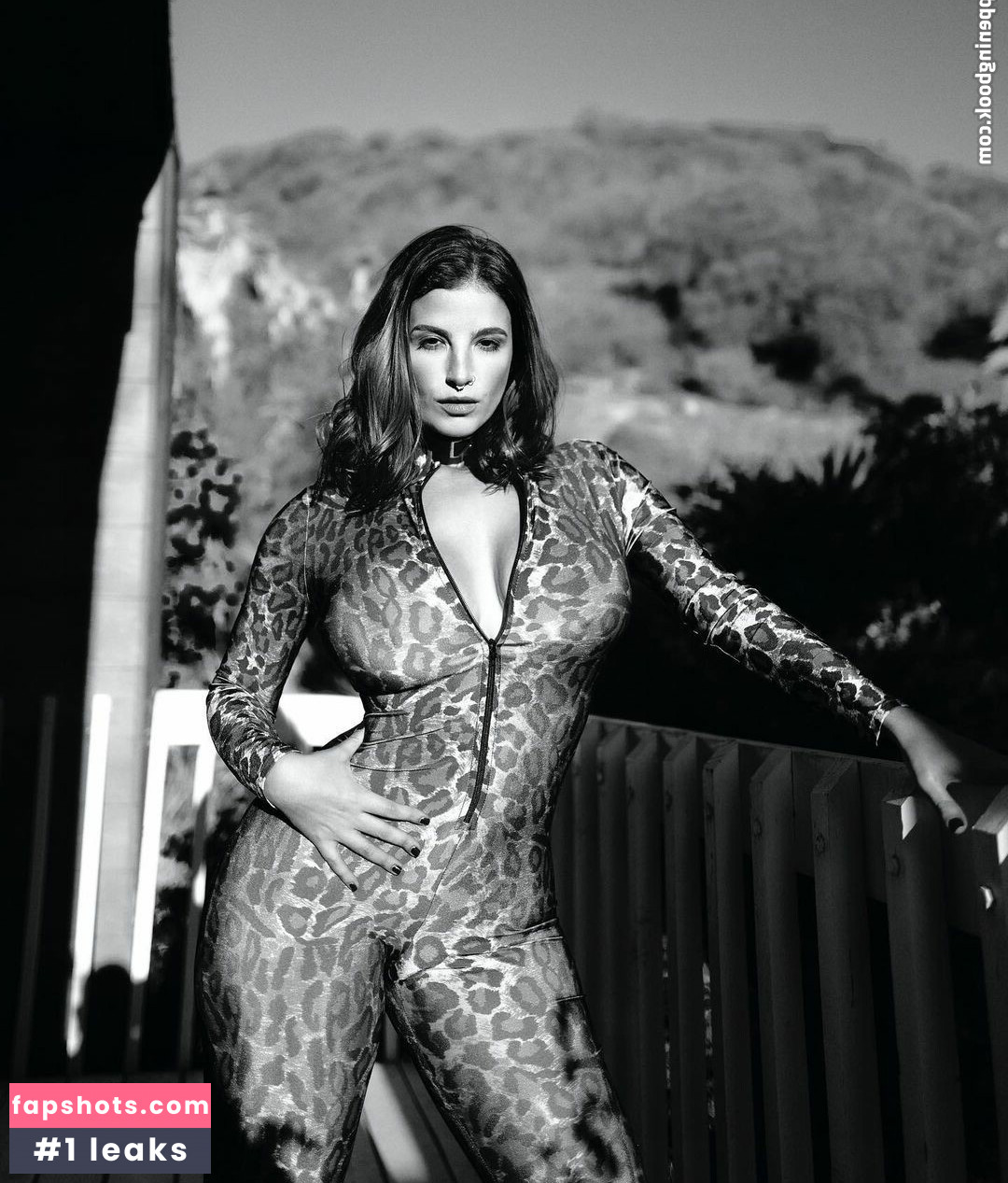 Ohrangutangirls Nacktheit OnlyFans Fotos #70 - Fapshots