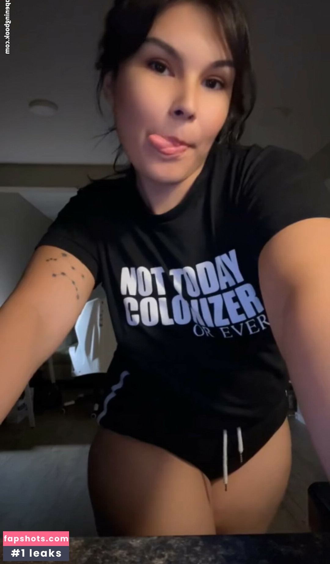 Ojibway Legacy gallery photo #3