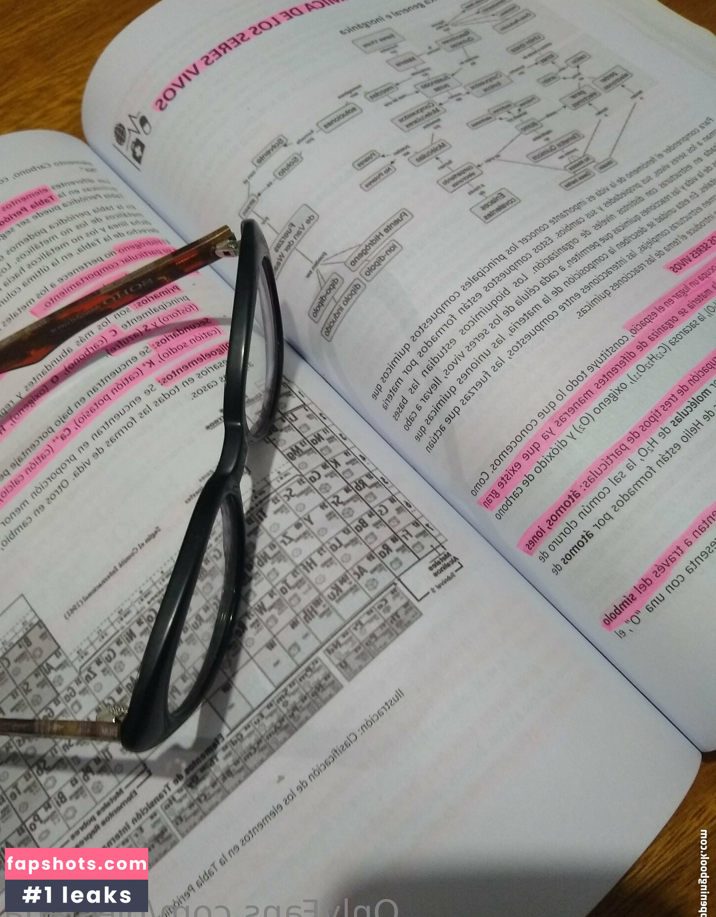 olesiana gallery photo #20