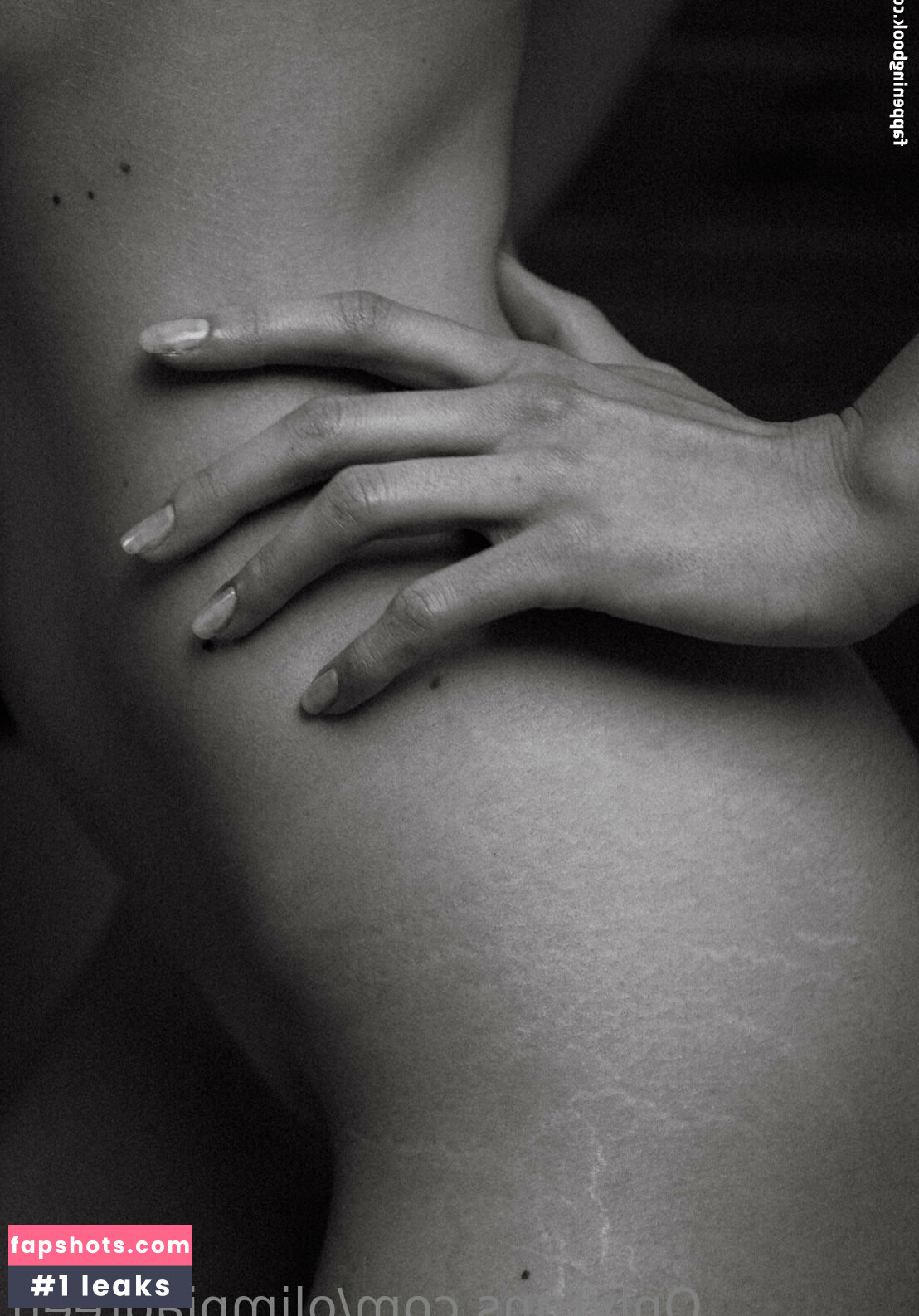 olimpiagreen gallery photo #20