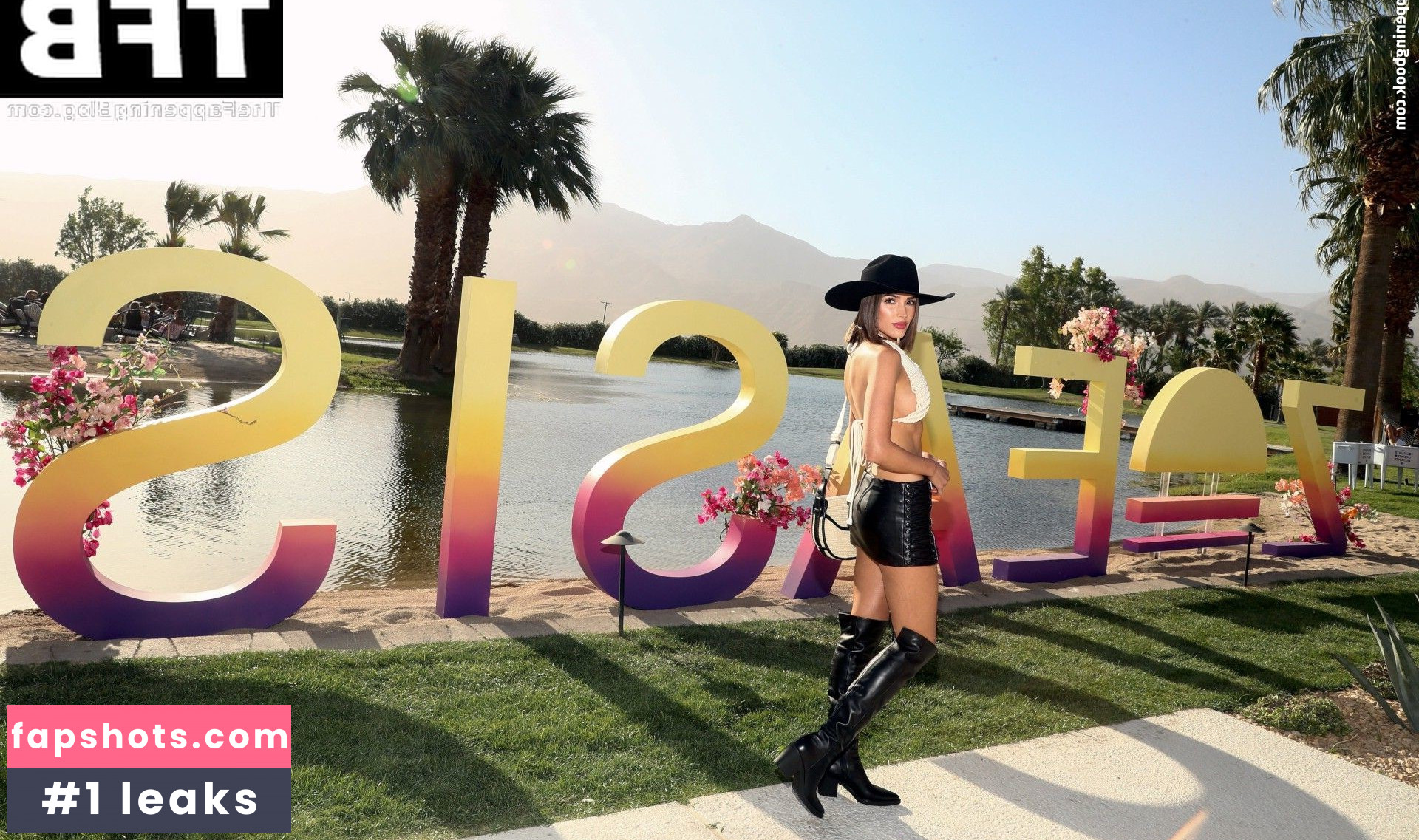 Olivia Culpo Filtración Desnuda OnlyFans Foto #349 - Fapshots