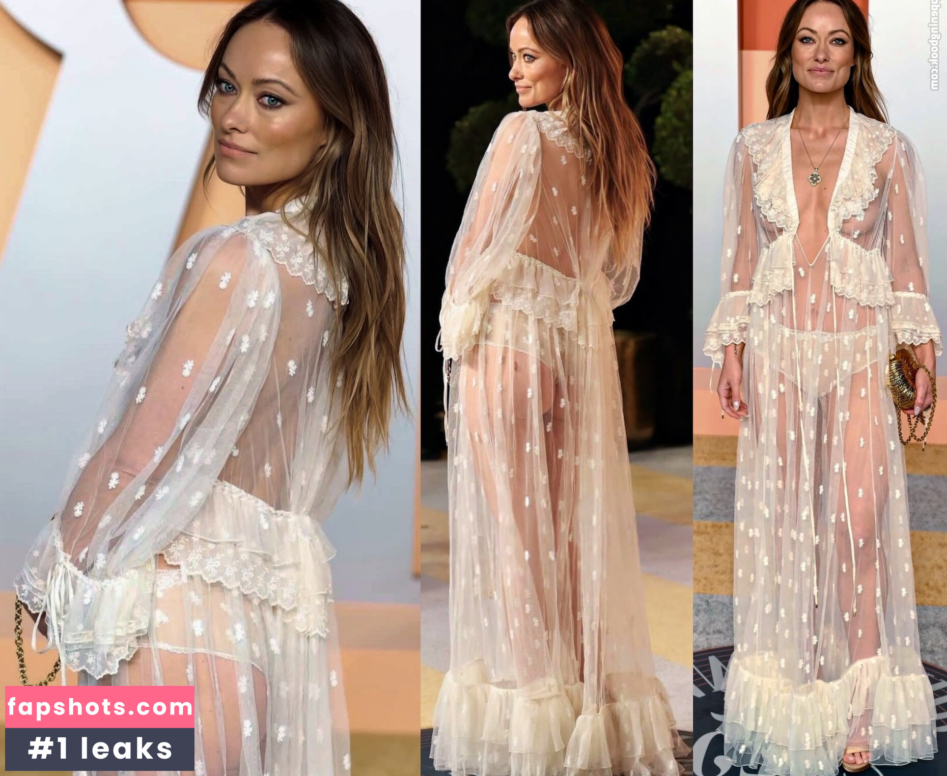 Olivia Wilde Nahé úniky fotek pouze od fanoušků #134 - Fapshots