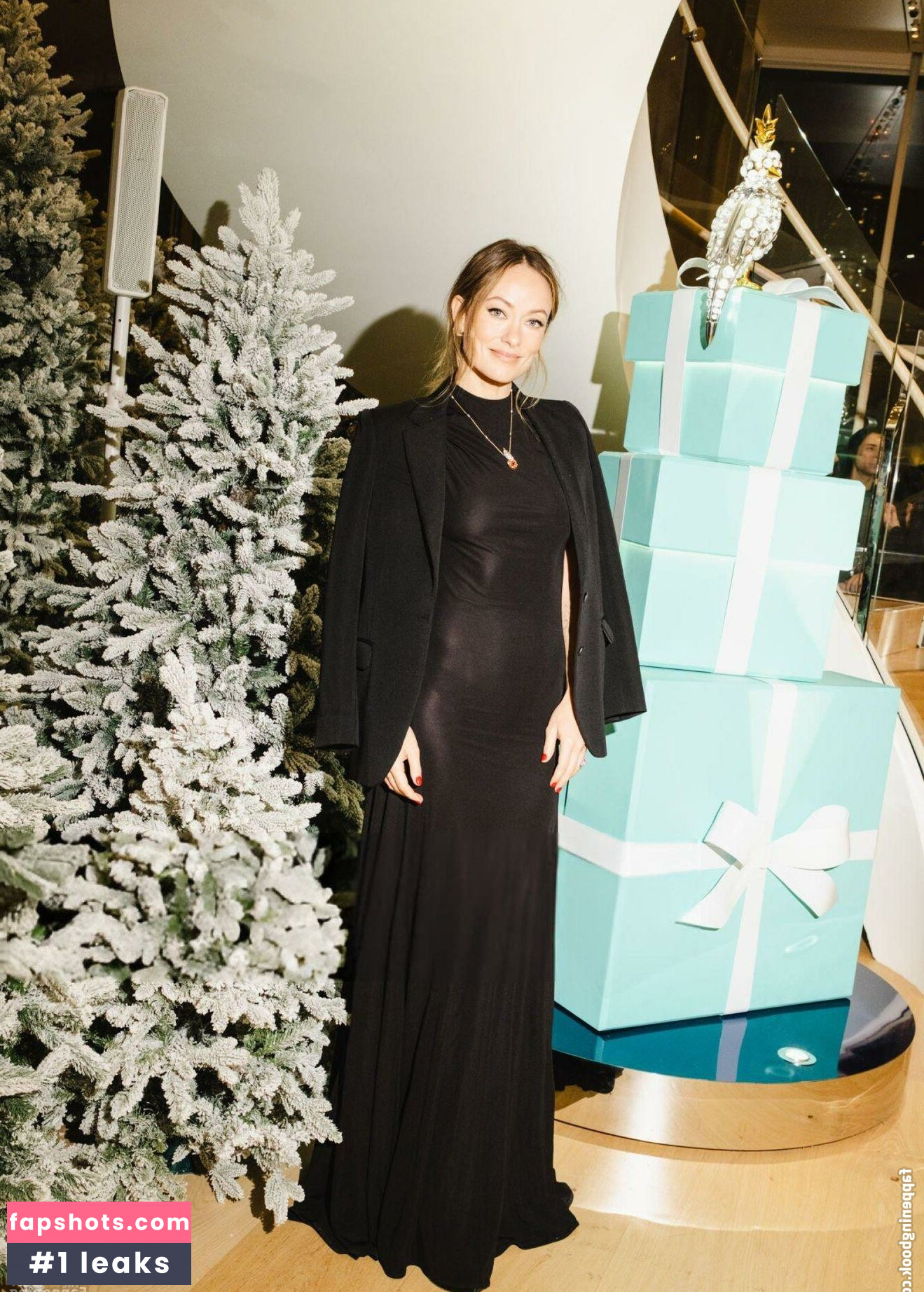 Olivia Wilde Nahé úniky fotek pouze od fanoušků #141 - Fapshots