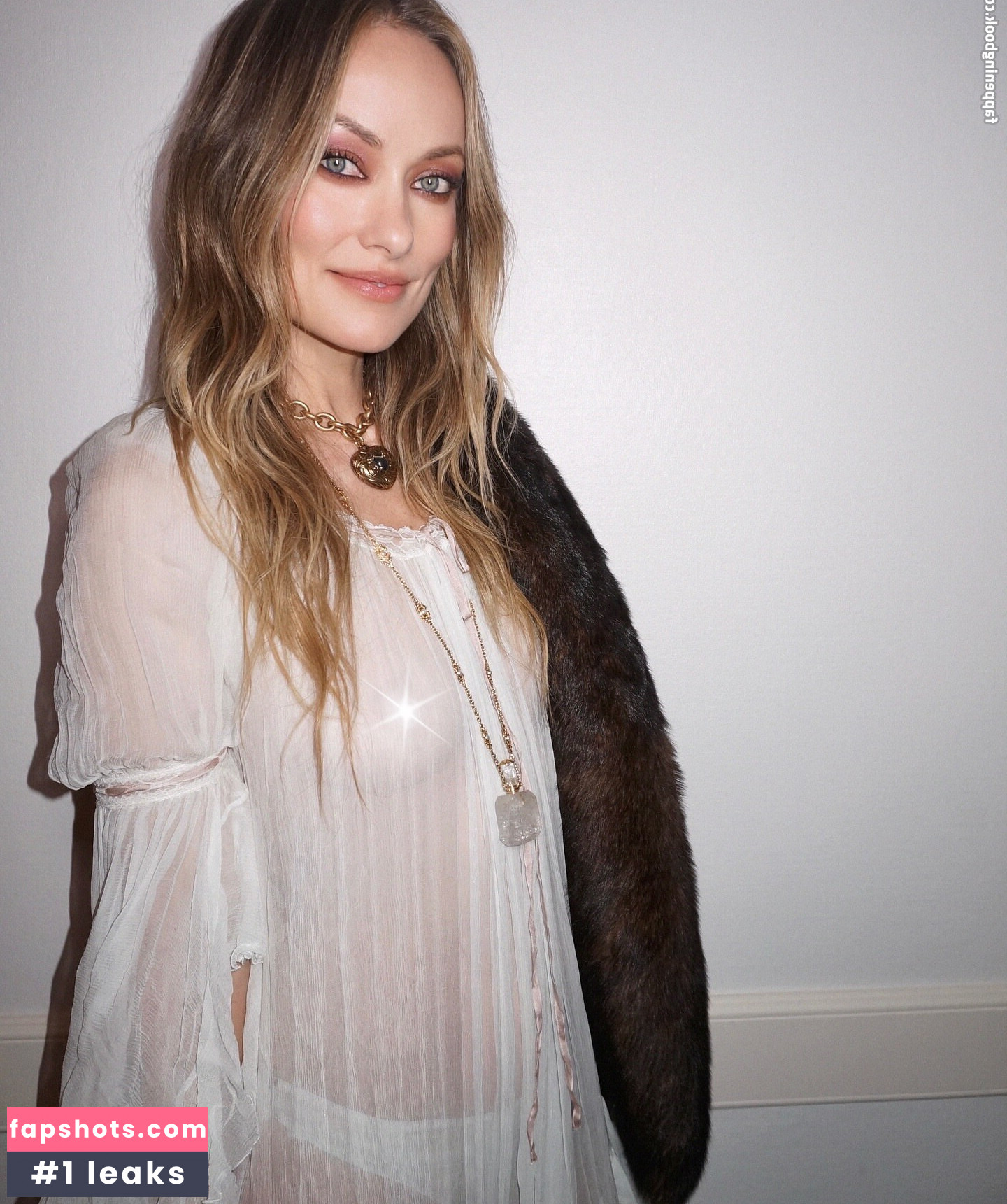 Olivia Wilde Nahé úniky fotek pouze od fanoušků #58 - Fapshots