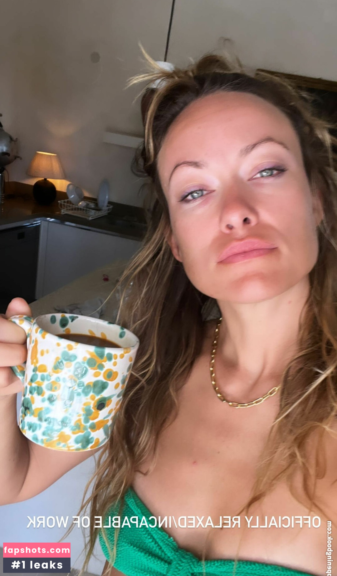 Olivia Wilde Nahé úniky fotek pouze od fanoušků #880 - Fapshots