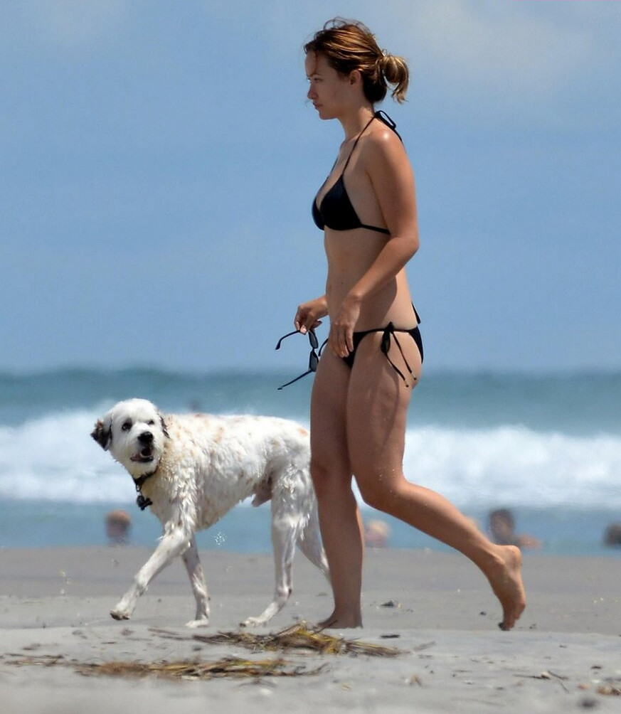 olivia-wilde gallery photo #1261