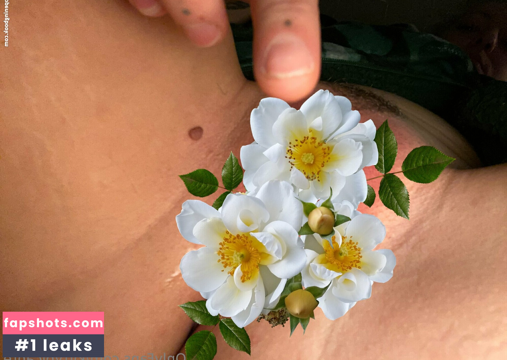 oliviathenorth gallery photo #5