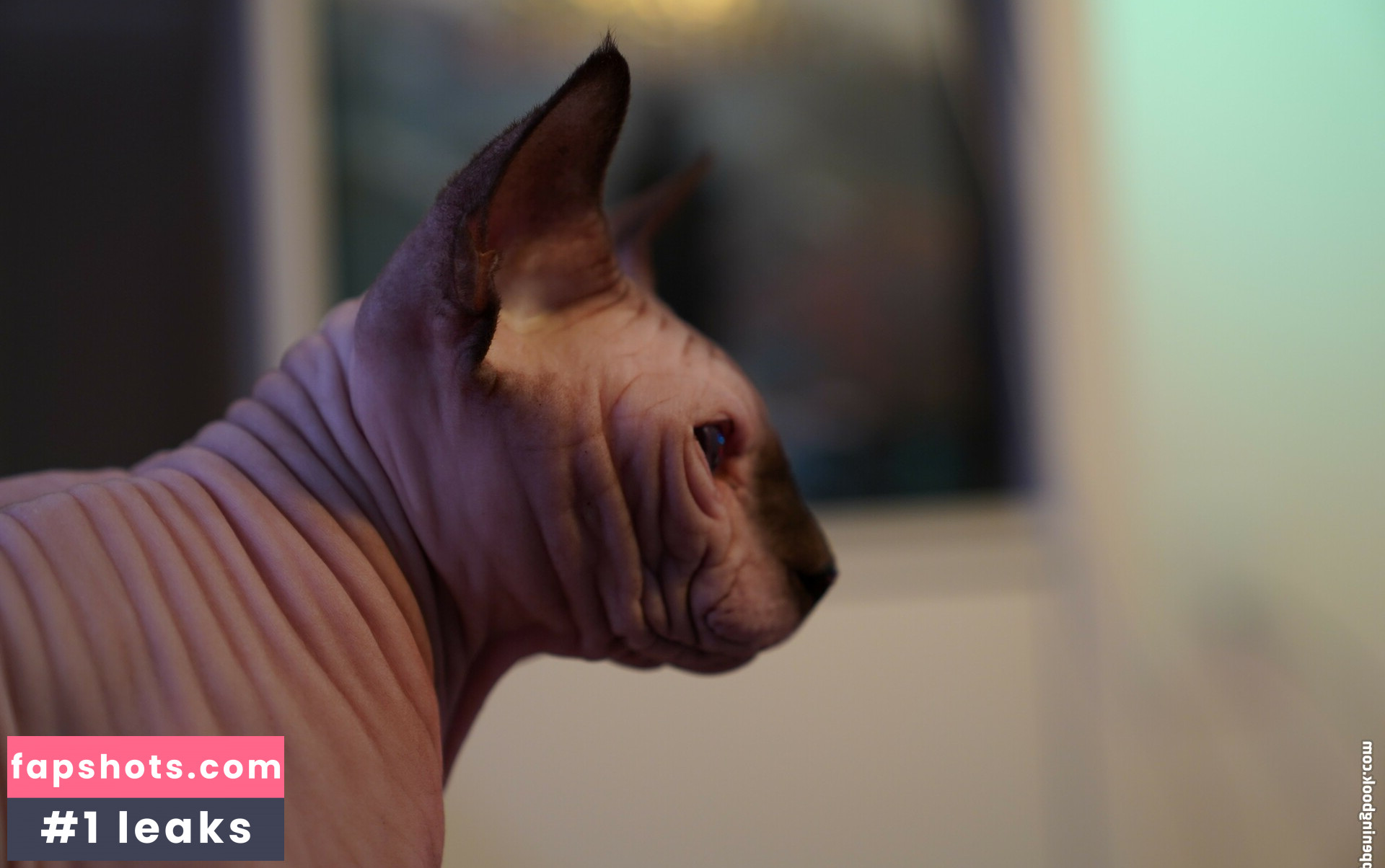 Olyashaa gallery photo #165