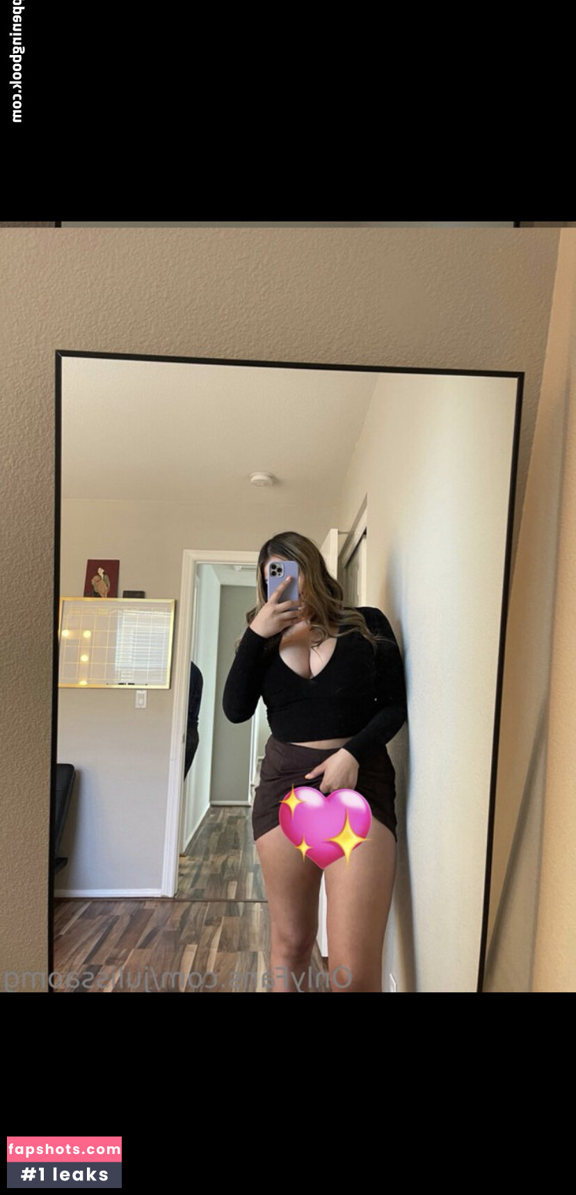 Omgjulissa1 gallery photo #12