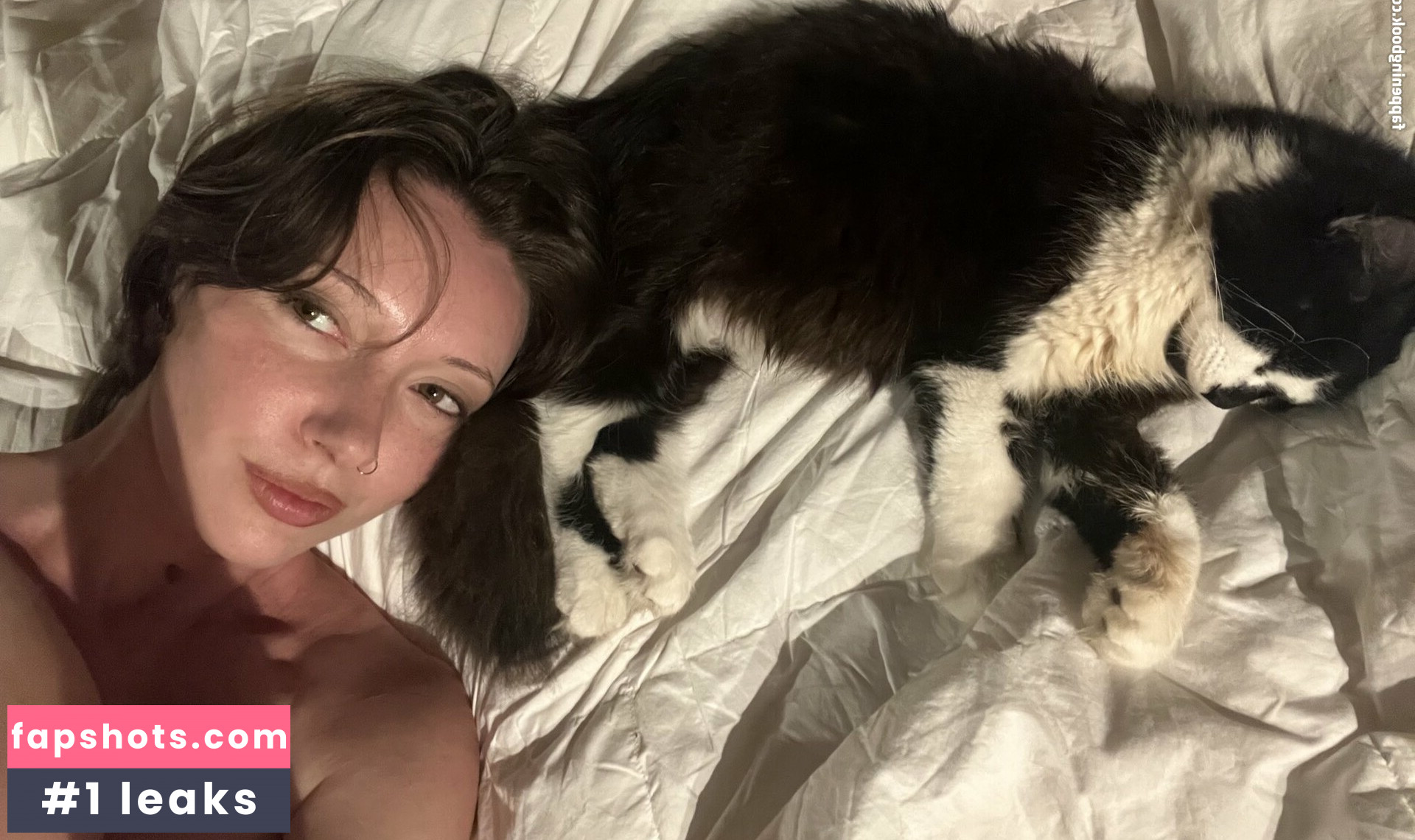 onlyzaboomafoo gallery photo #13