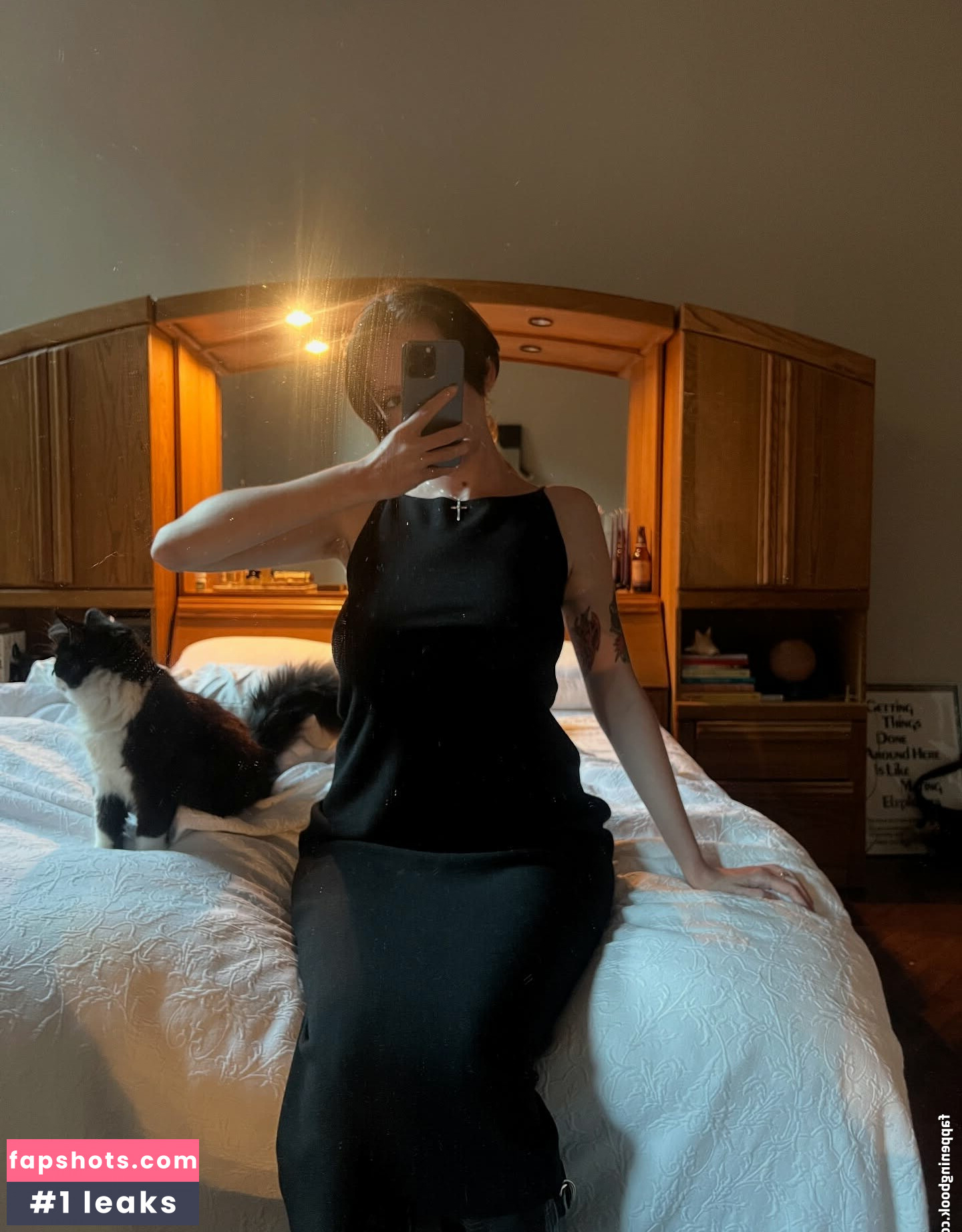 onlyzaboomafoo gallery photo #18