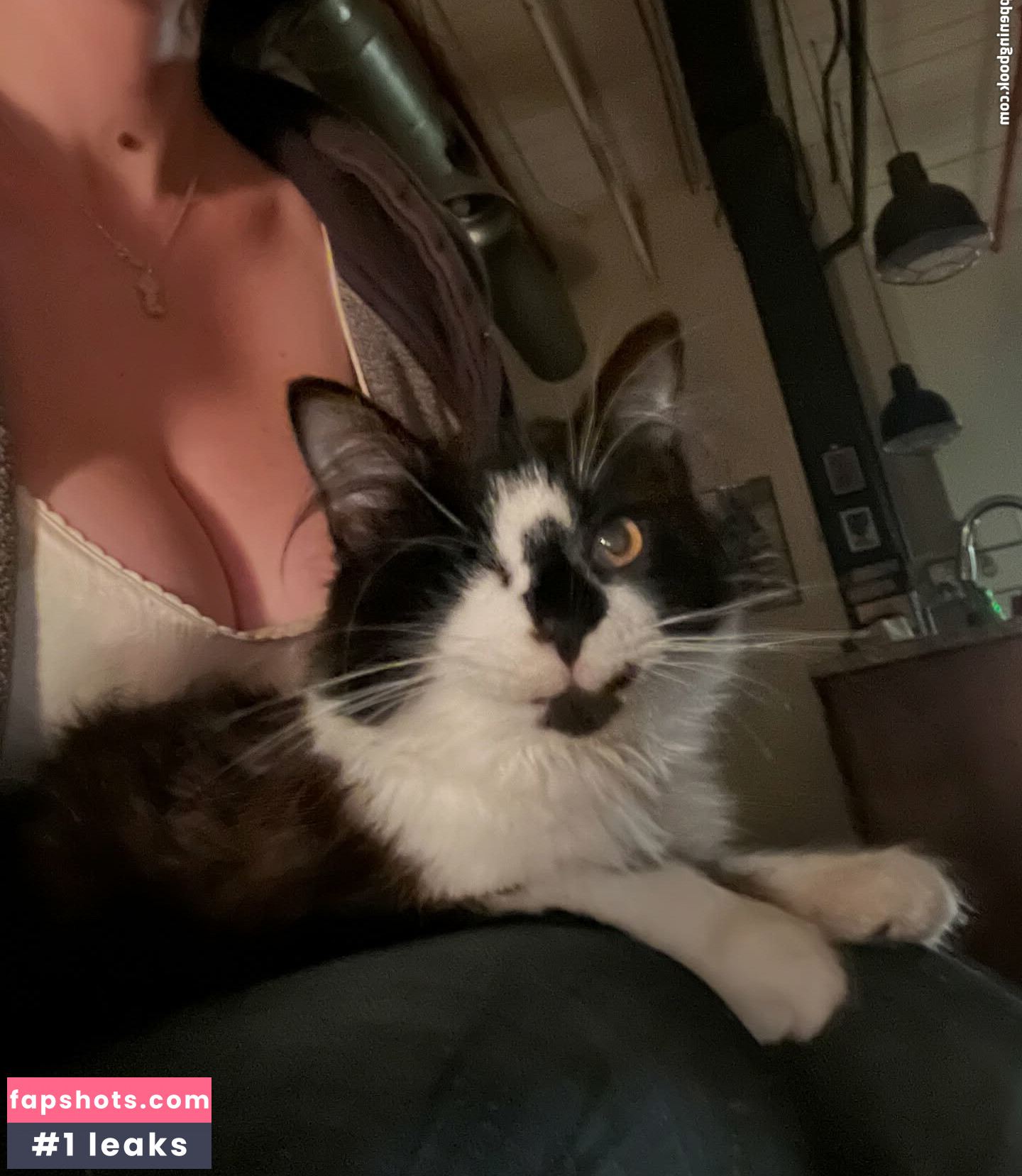 onlyzaboomafoo gallery photo #25