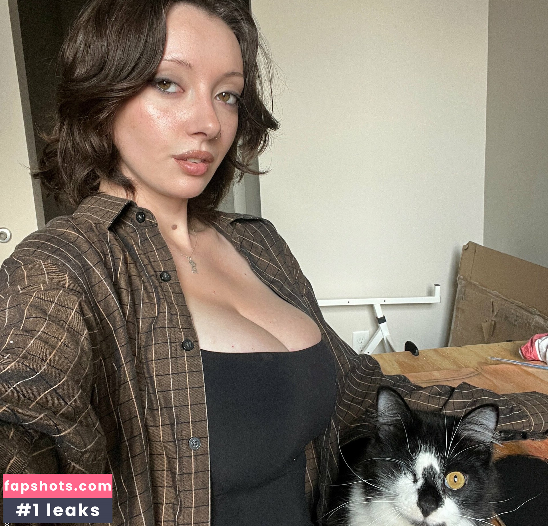 onlyzaboomafoo gallery photo #4