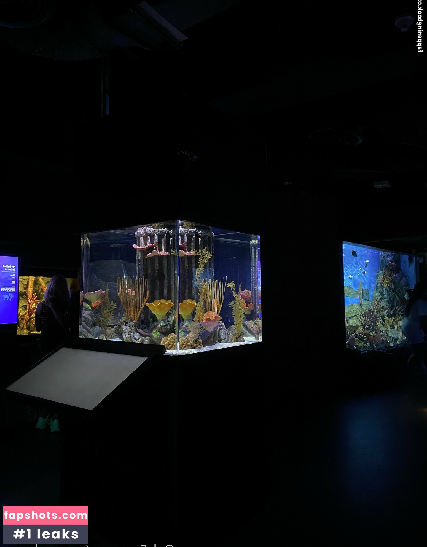 onyour_bunny gallery photo #29