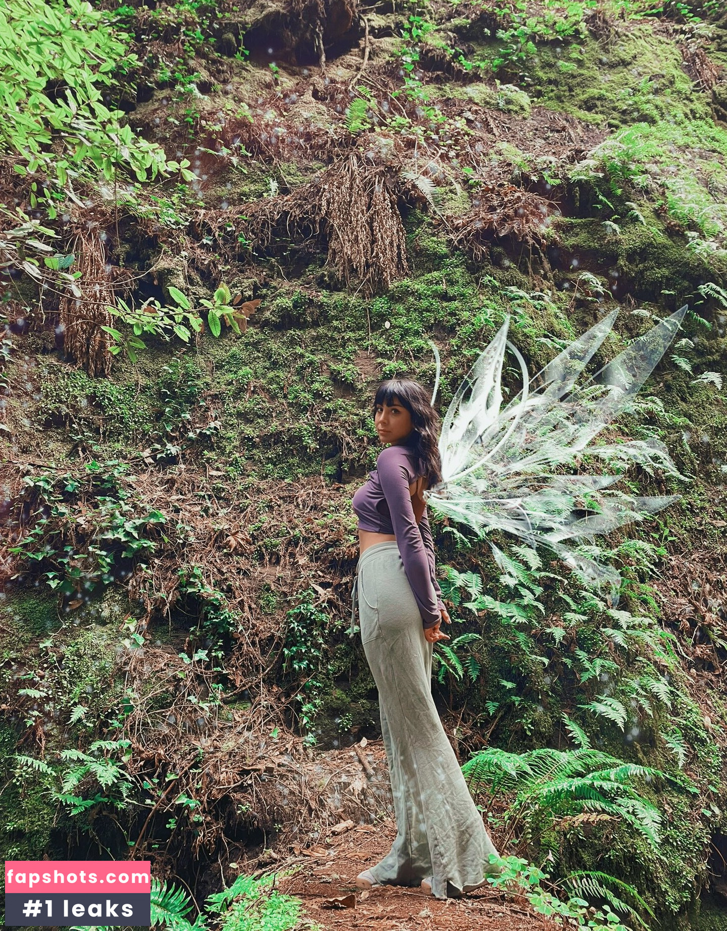 Orbriz gallery photo #4