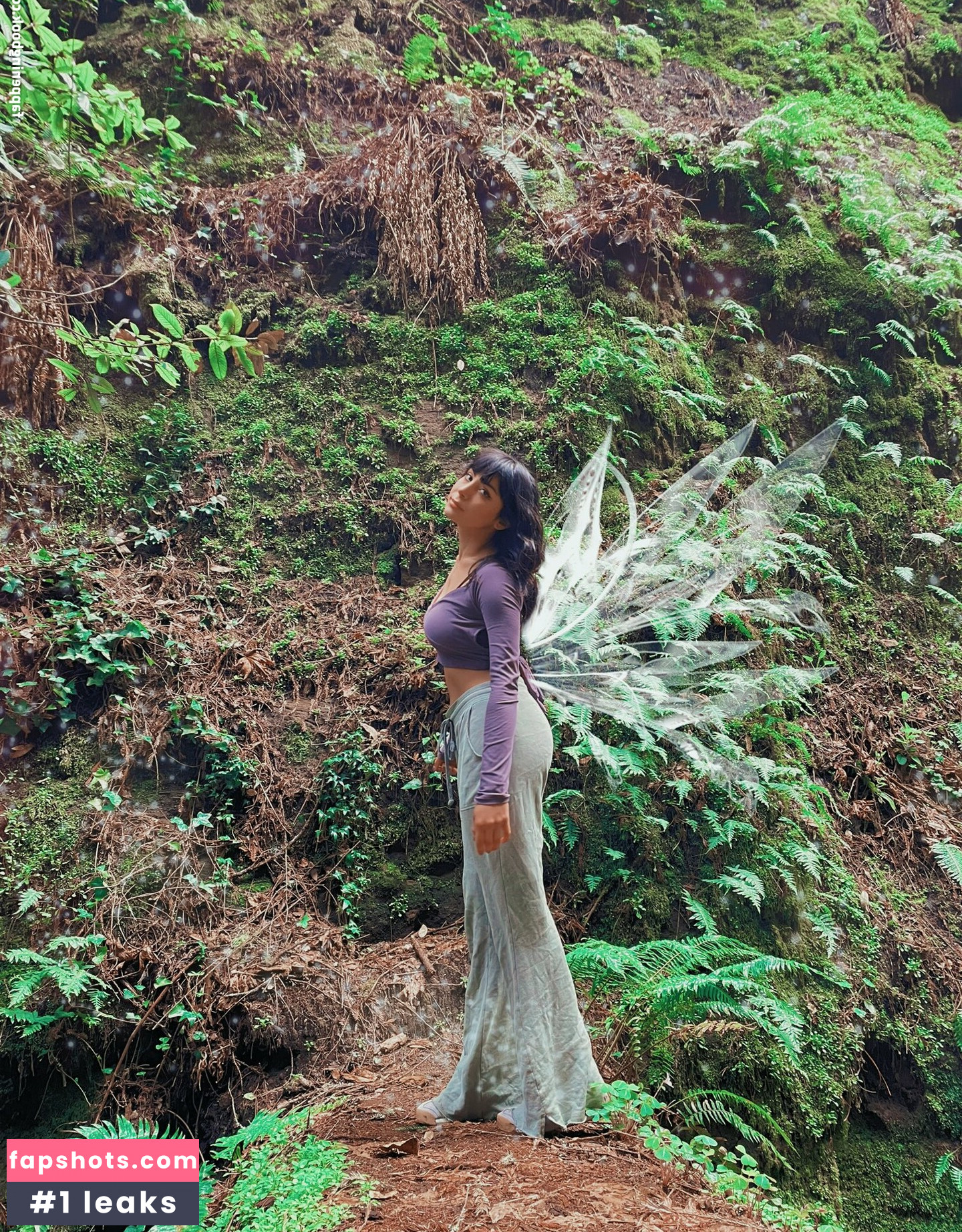 Orbriz gallery photo #5