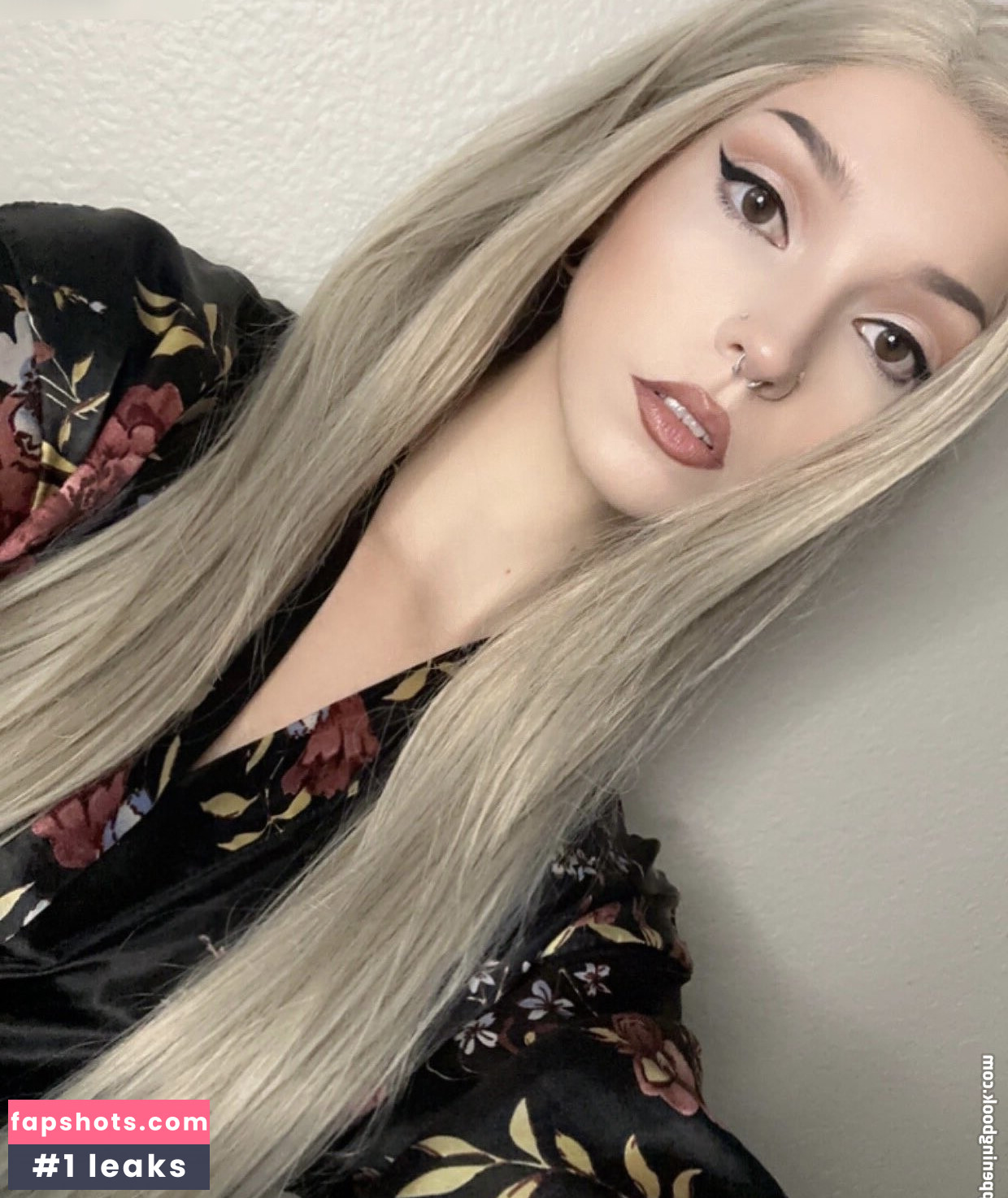 Owlicats gallery photo #15