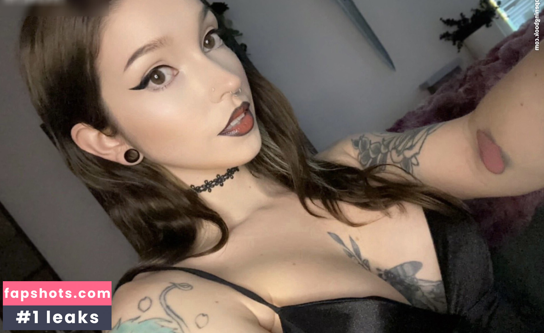 Owlicats gallery photo #6