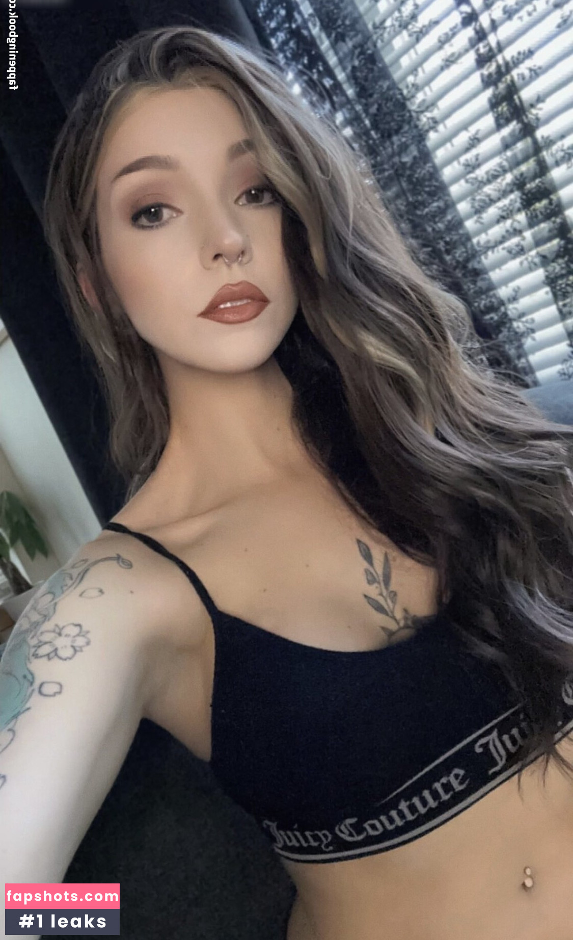 Owlicats gallery photo #8