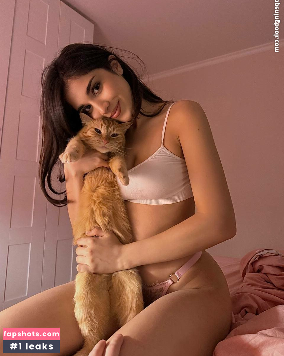 owlida gallery photo #11