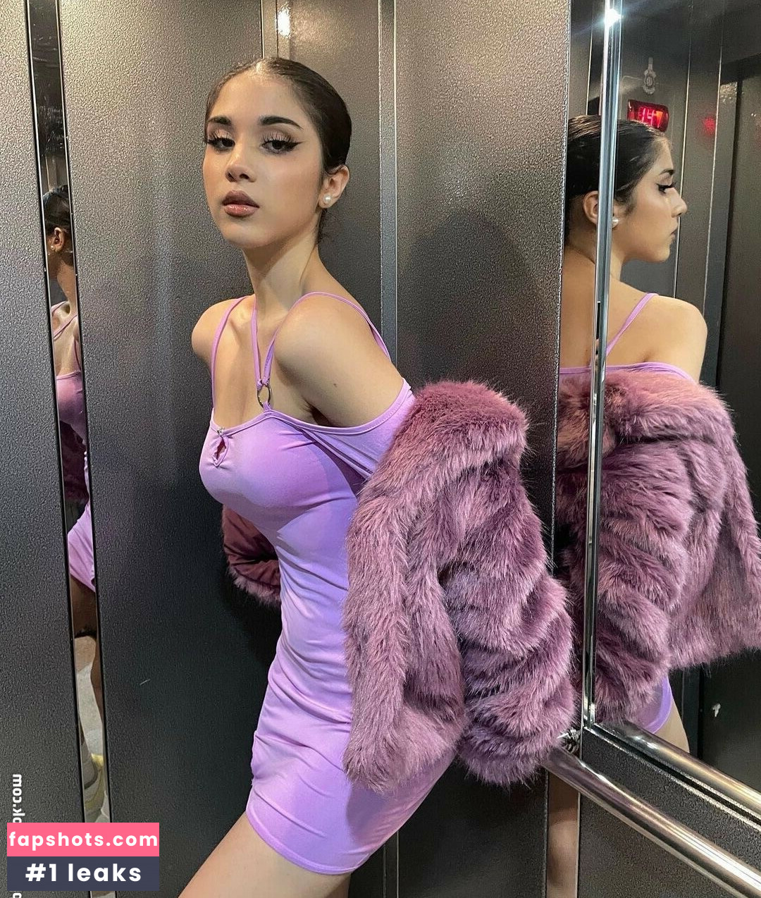 owlida gallery photo #134