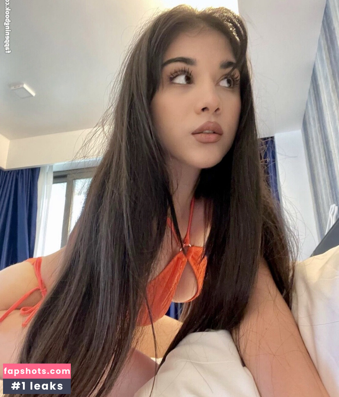 owlida gallery photo #158