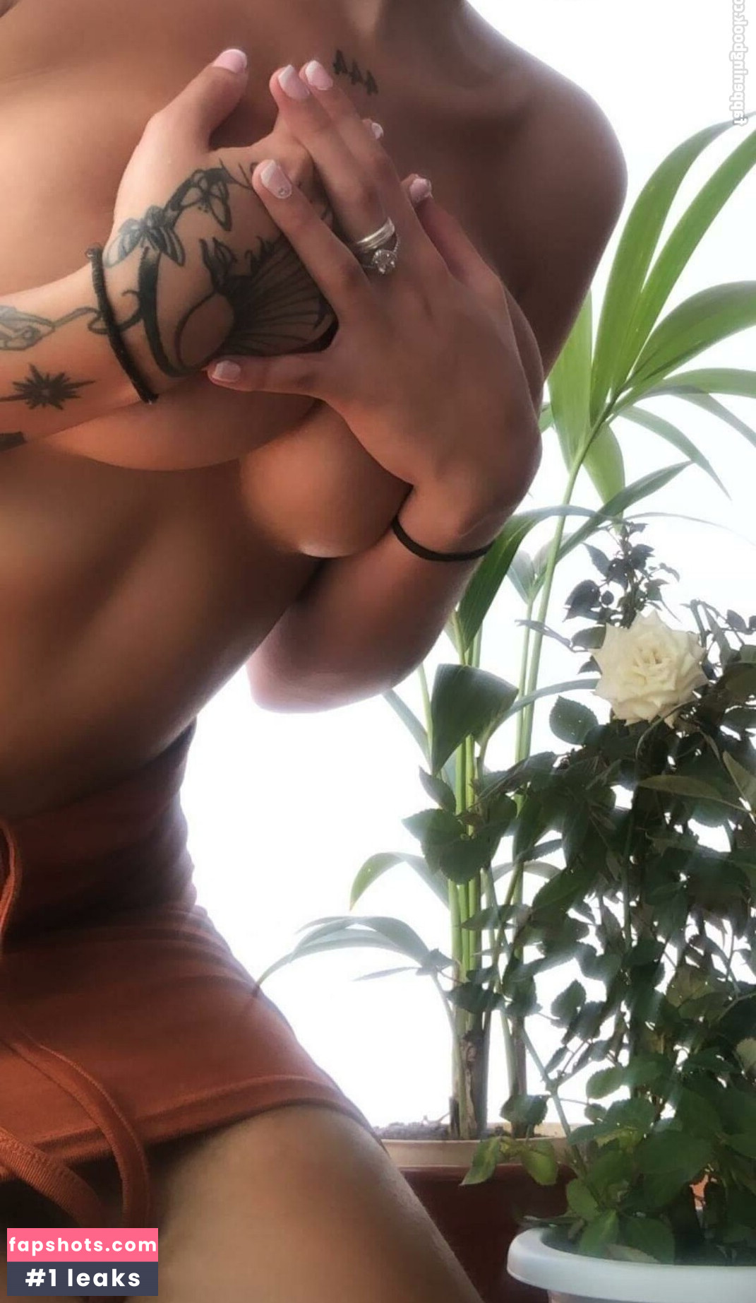 Paaaubg gallery photo #59