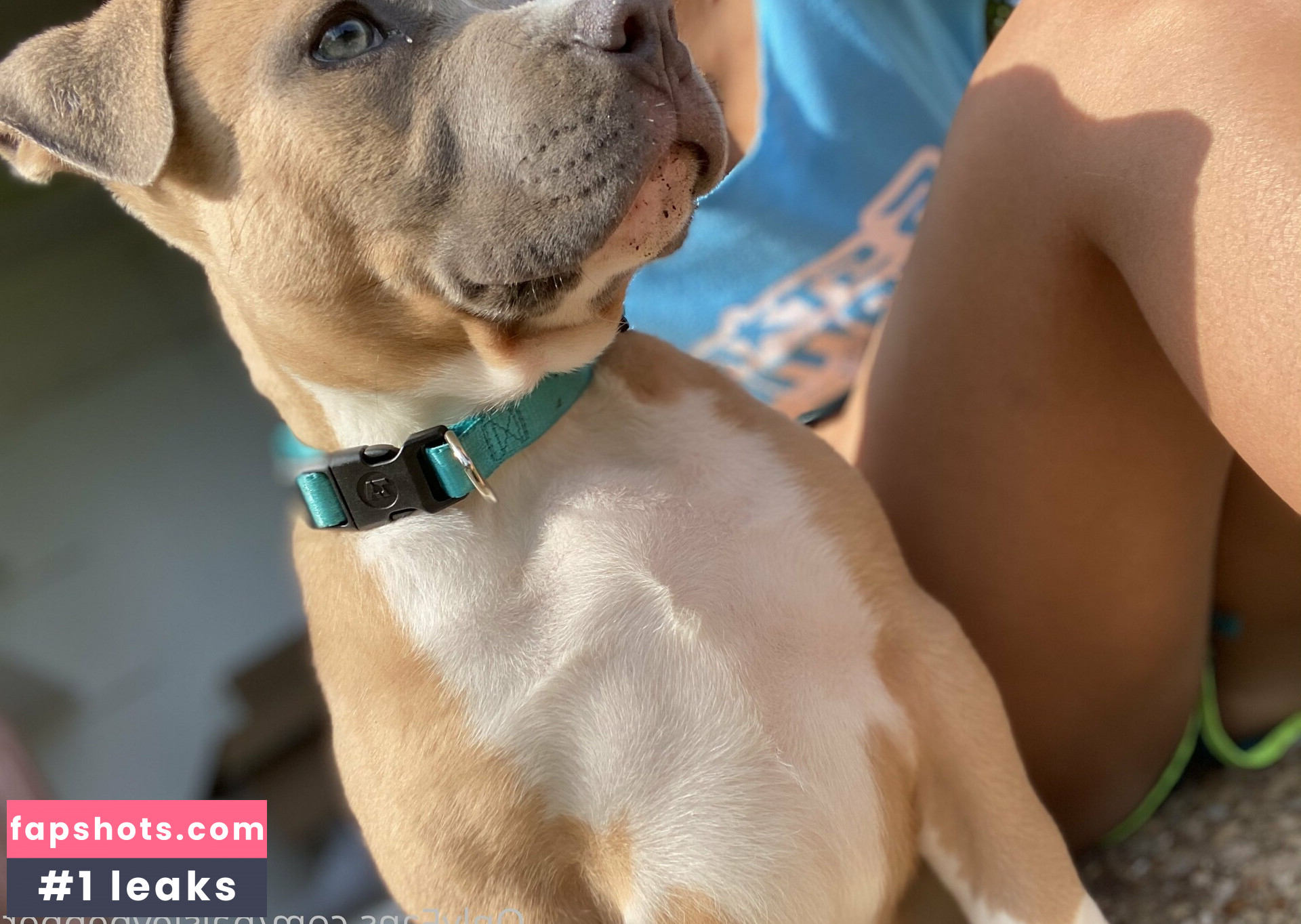 paisleypepper gallery photo #15