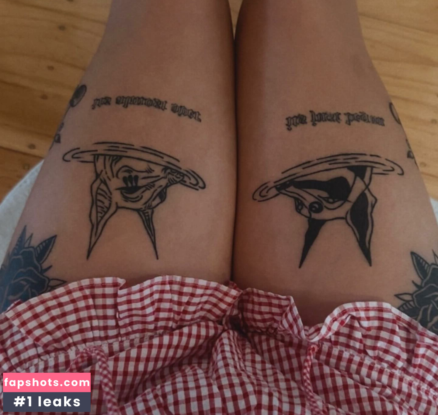 PaladinAmber gallery photo #38