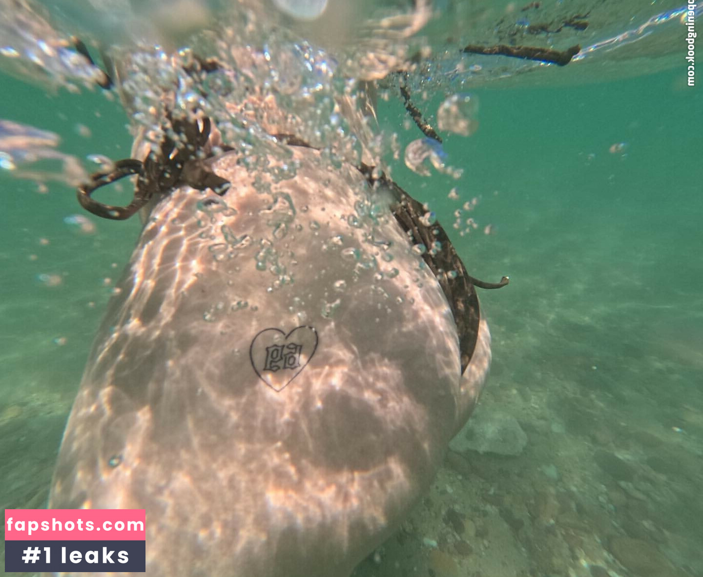 PaladinAmber gallery photo #90