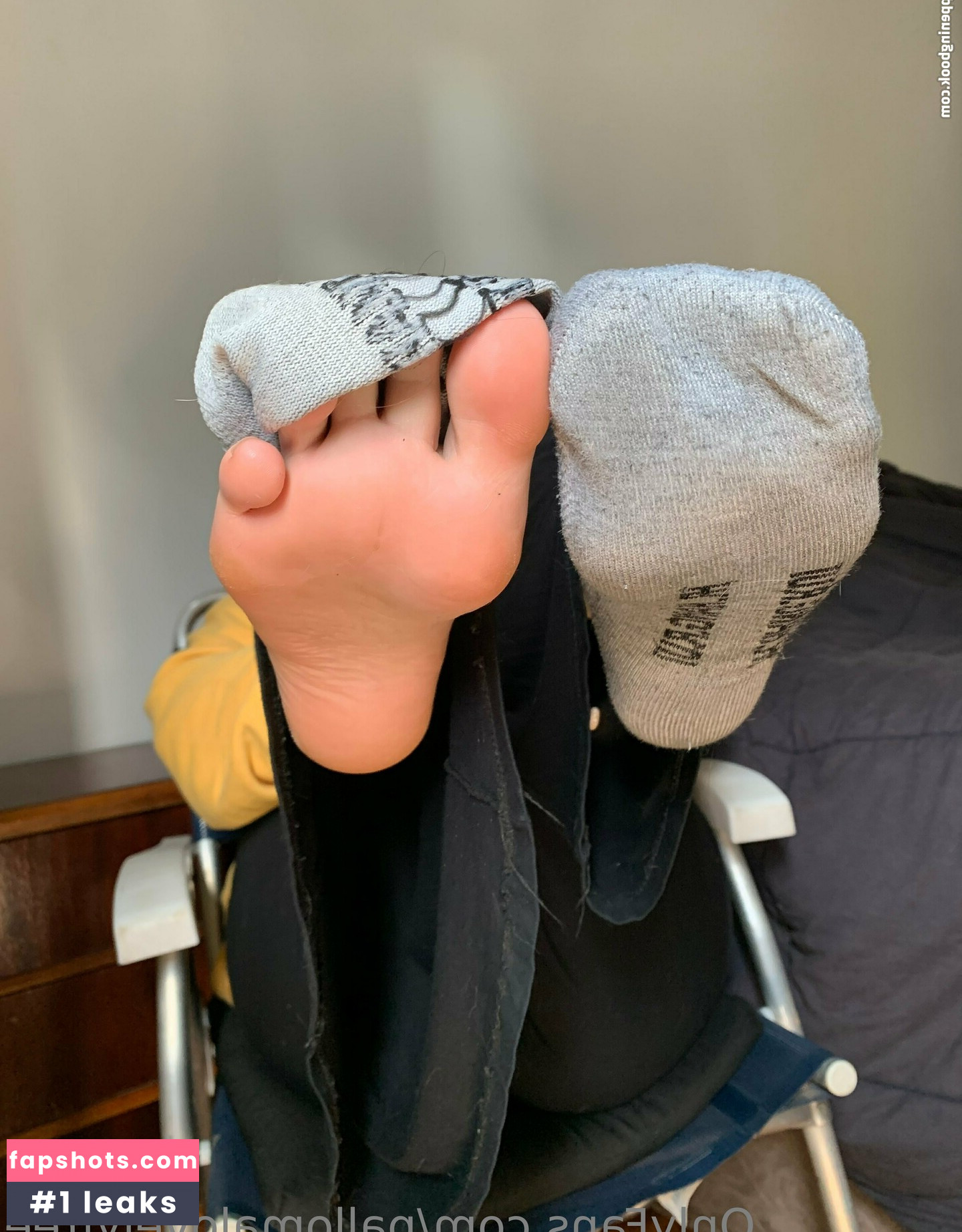 pallomalovelyfree gallery photo #3