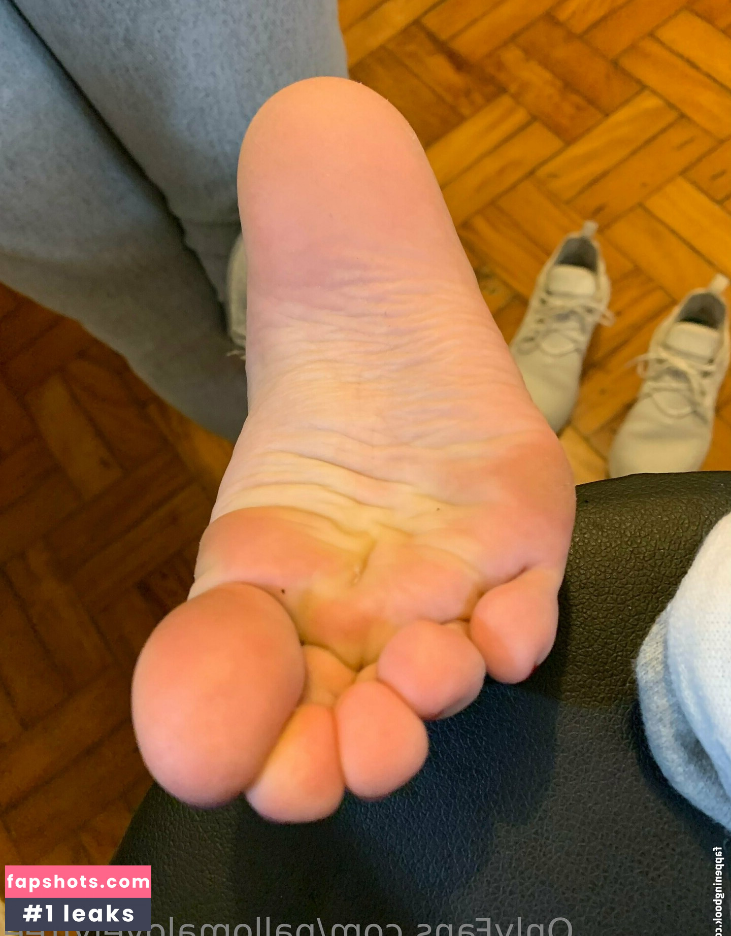 pallomalovelyfree gallery photo #22