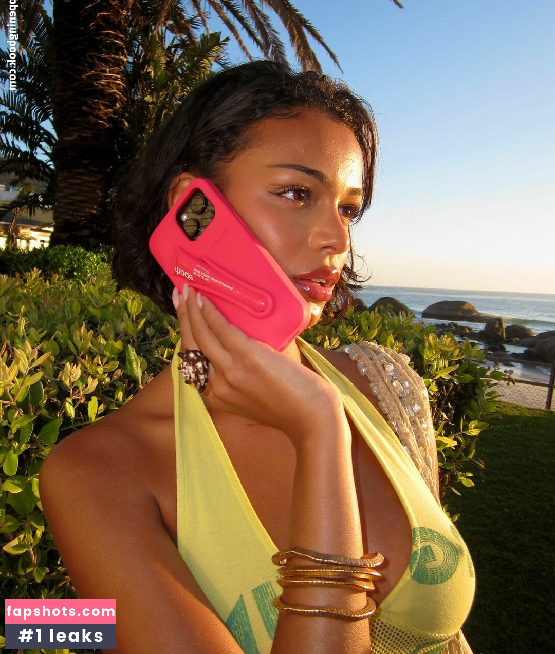 Pamalaaam gallery photo #16