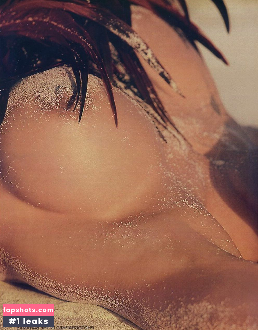 Pamela Anderson gallery photo #3