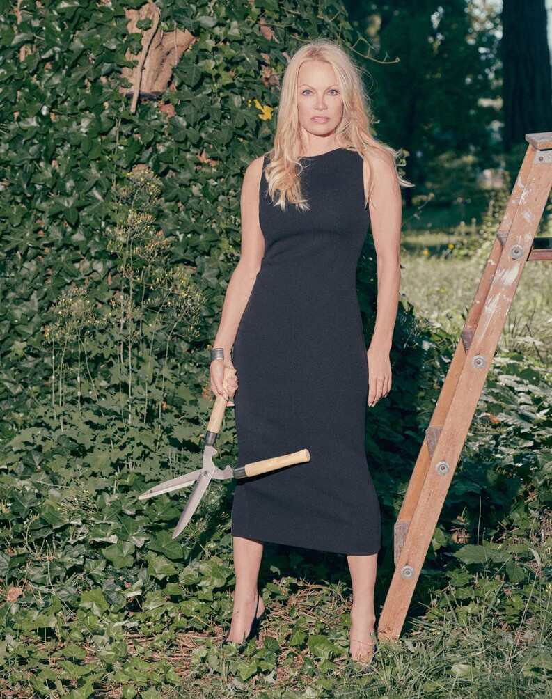 pamela-anderson gallery photo #322