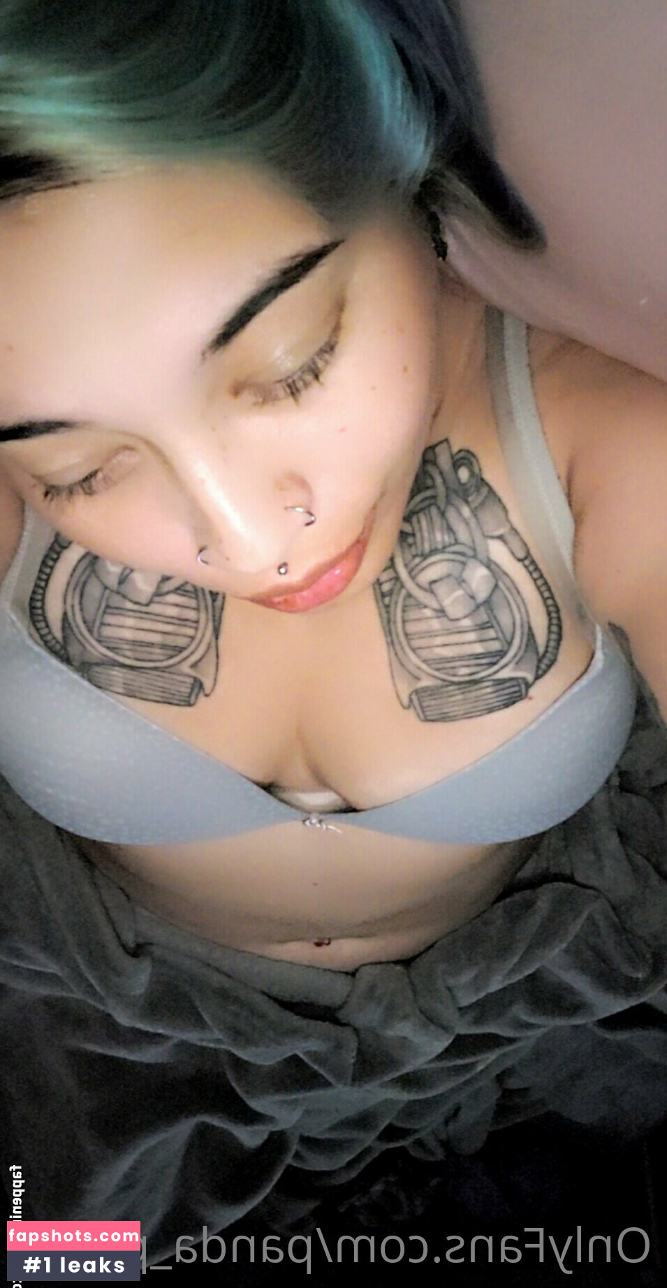 panda_pop10 gallery photo #12