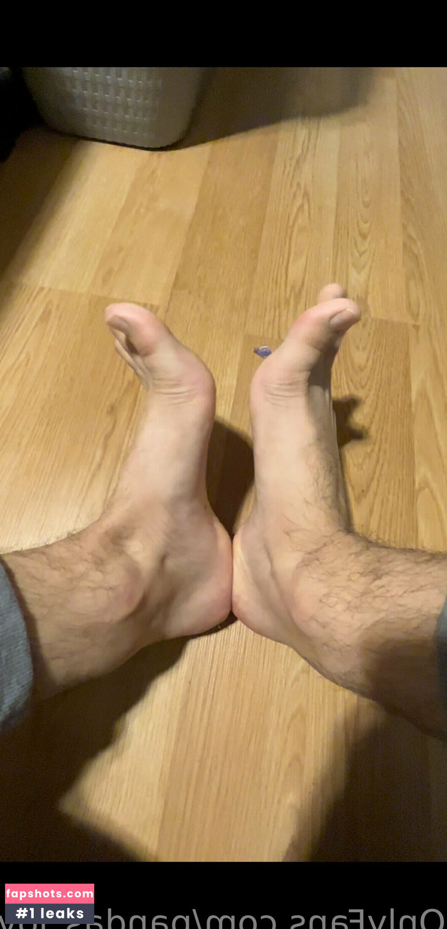 pandas_lover gallery photo #13