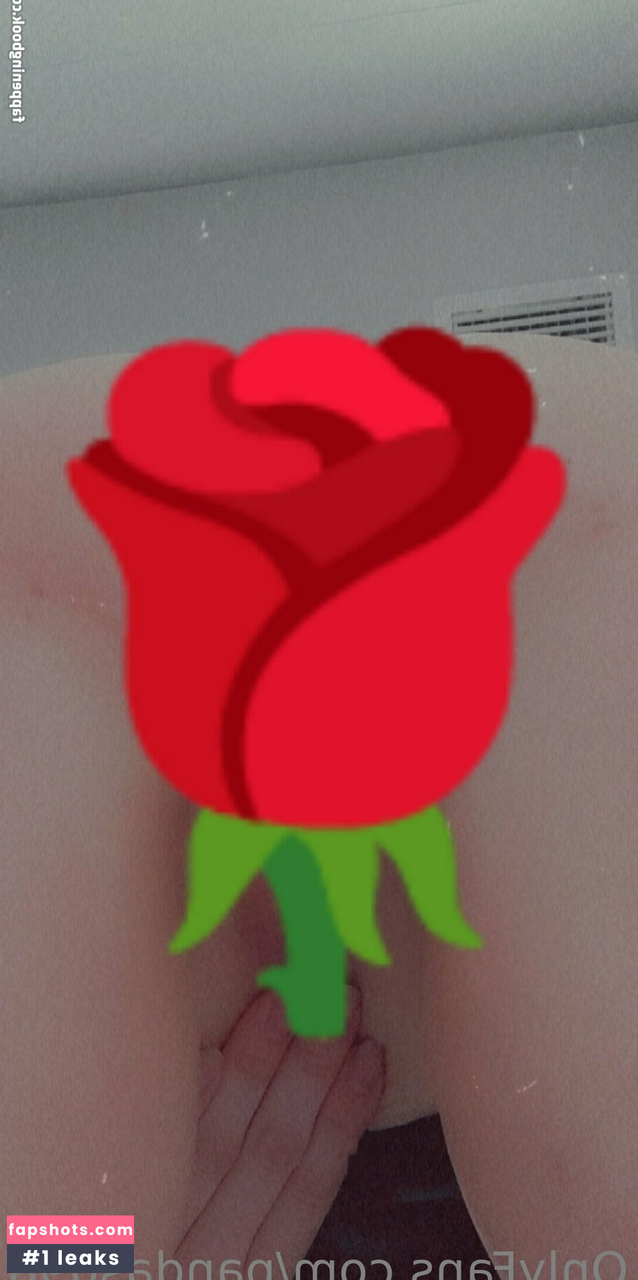 pandas098 Nacktheit OnlyFans Fotos #2 - Fapshots