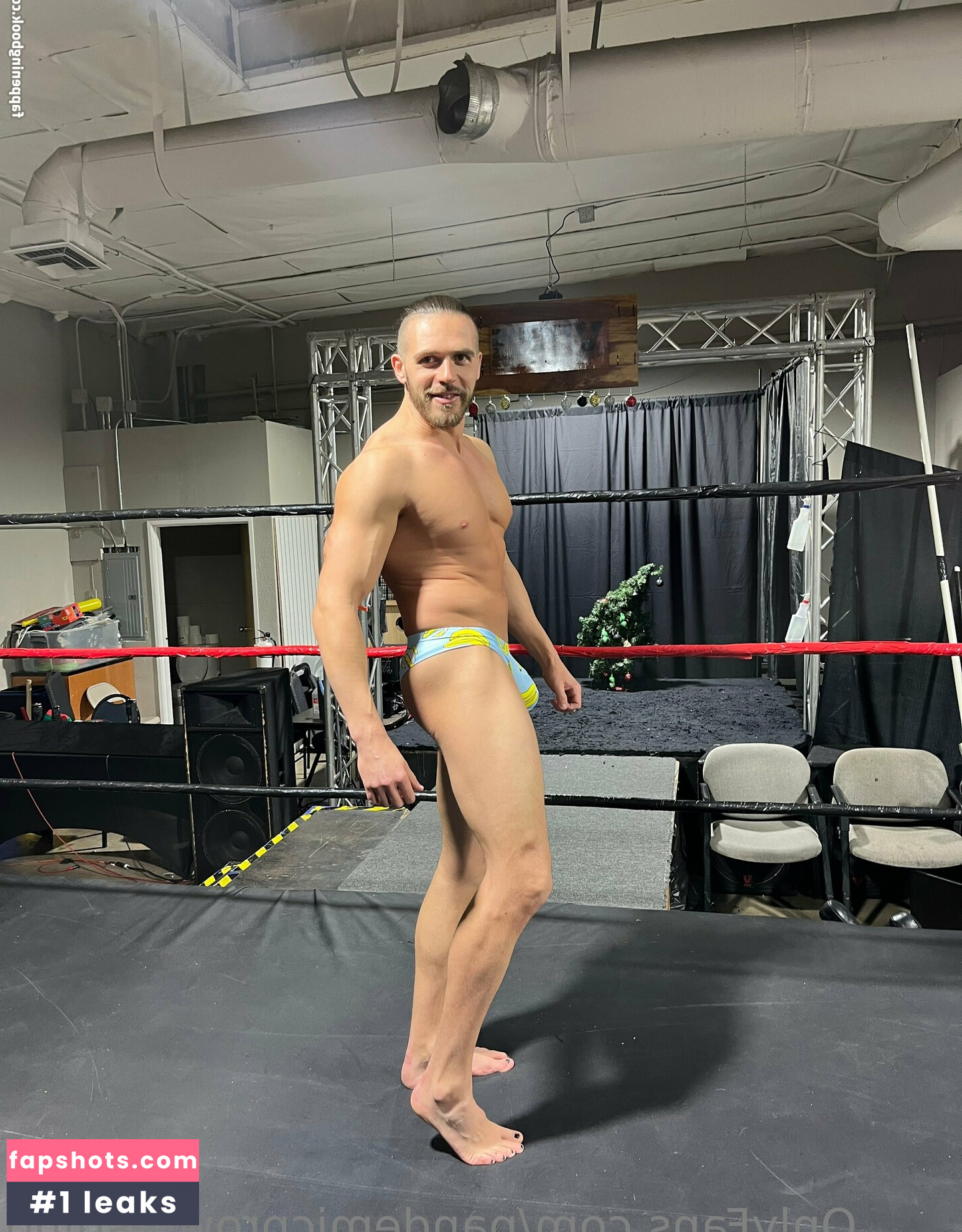 pandemicprowrestling gallery photo #24