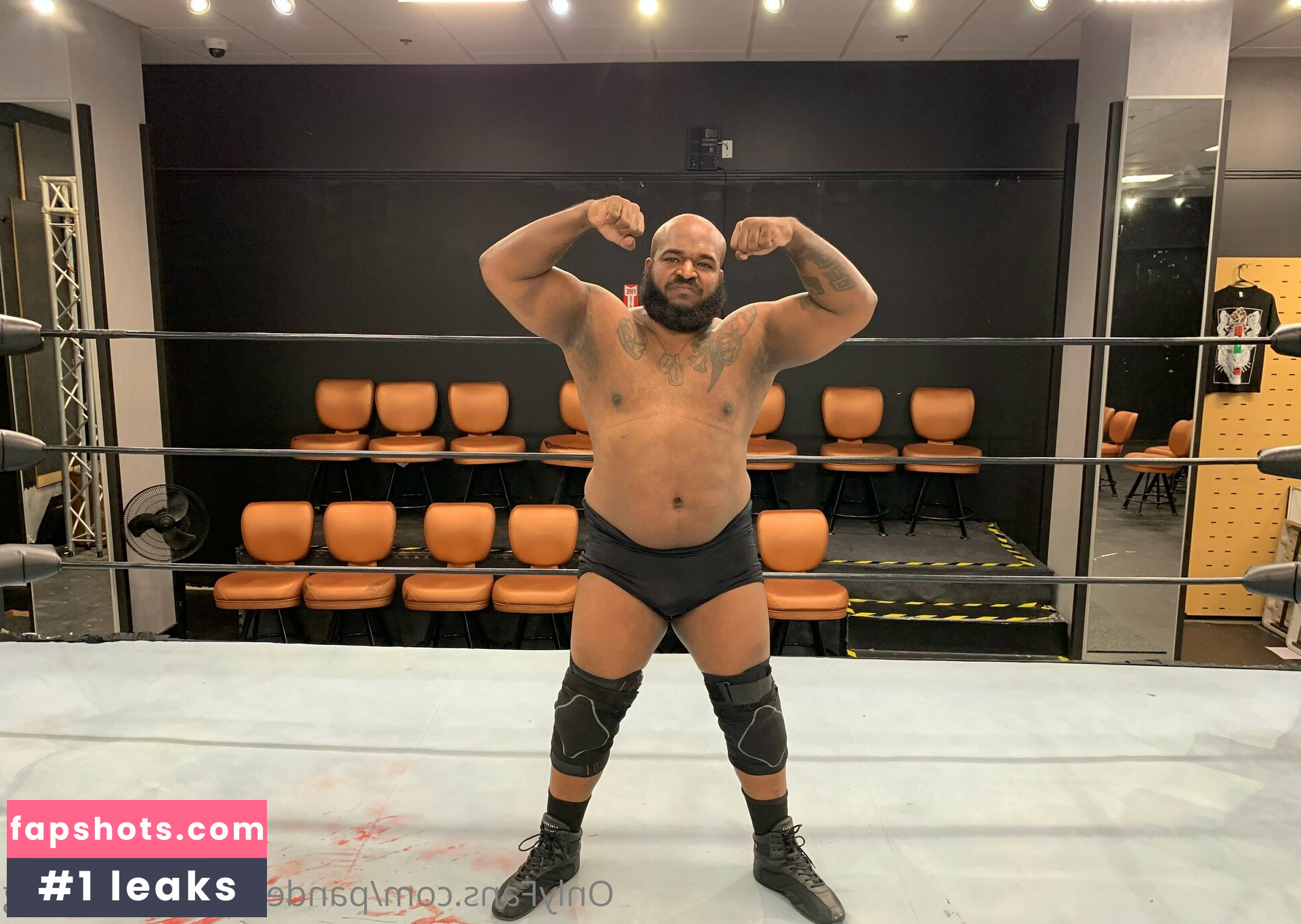 pandemicprowrestling gallery photo #30