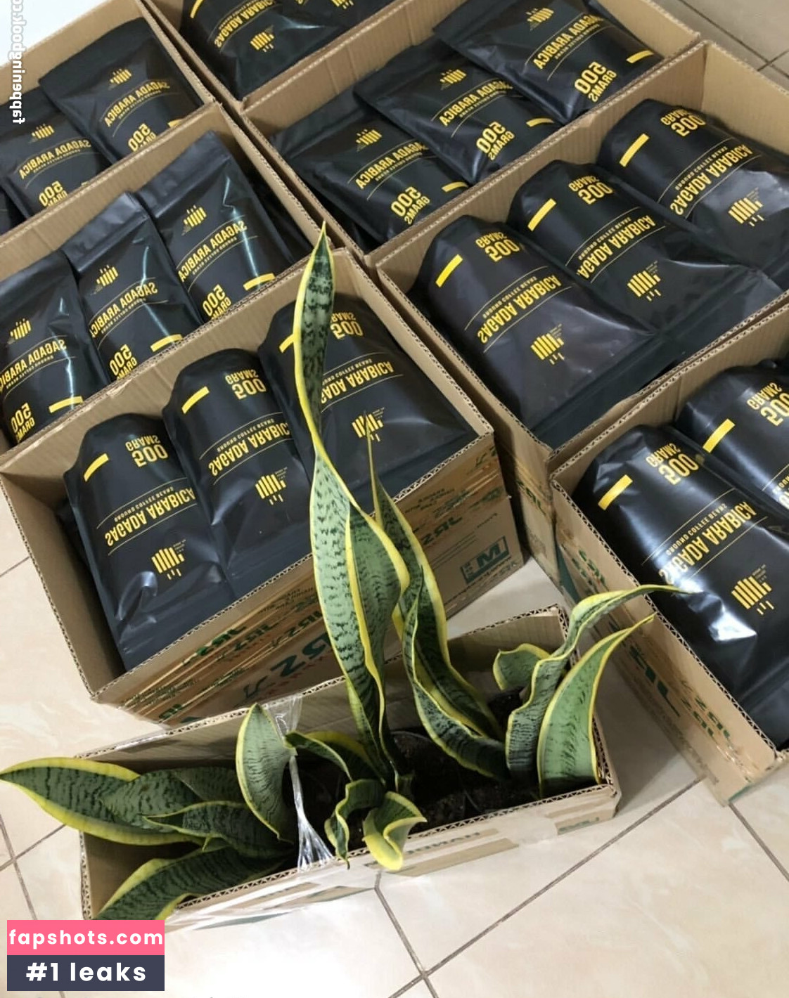 paoloamoresfree gallery photo #3