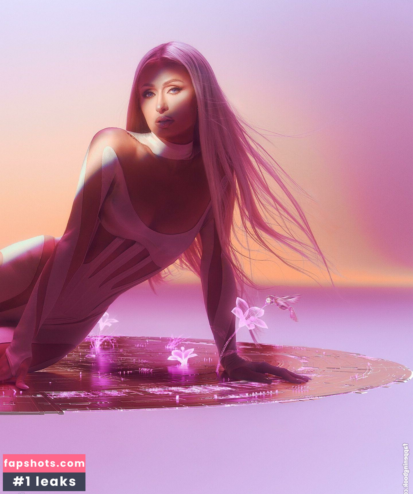 Paris Hilton gallery photo #121