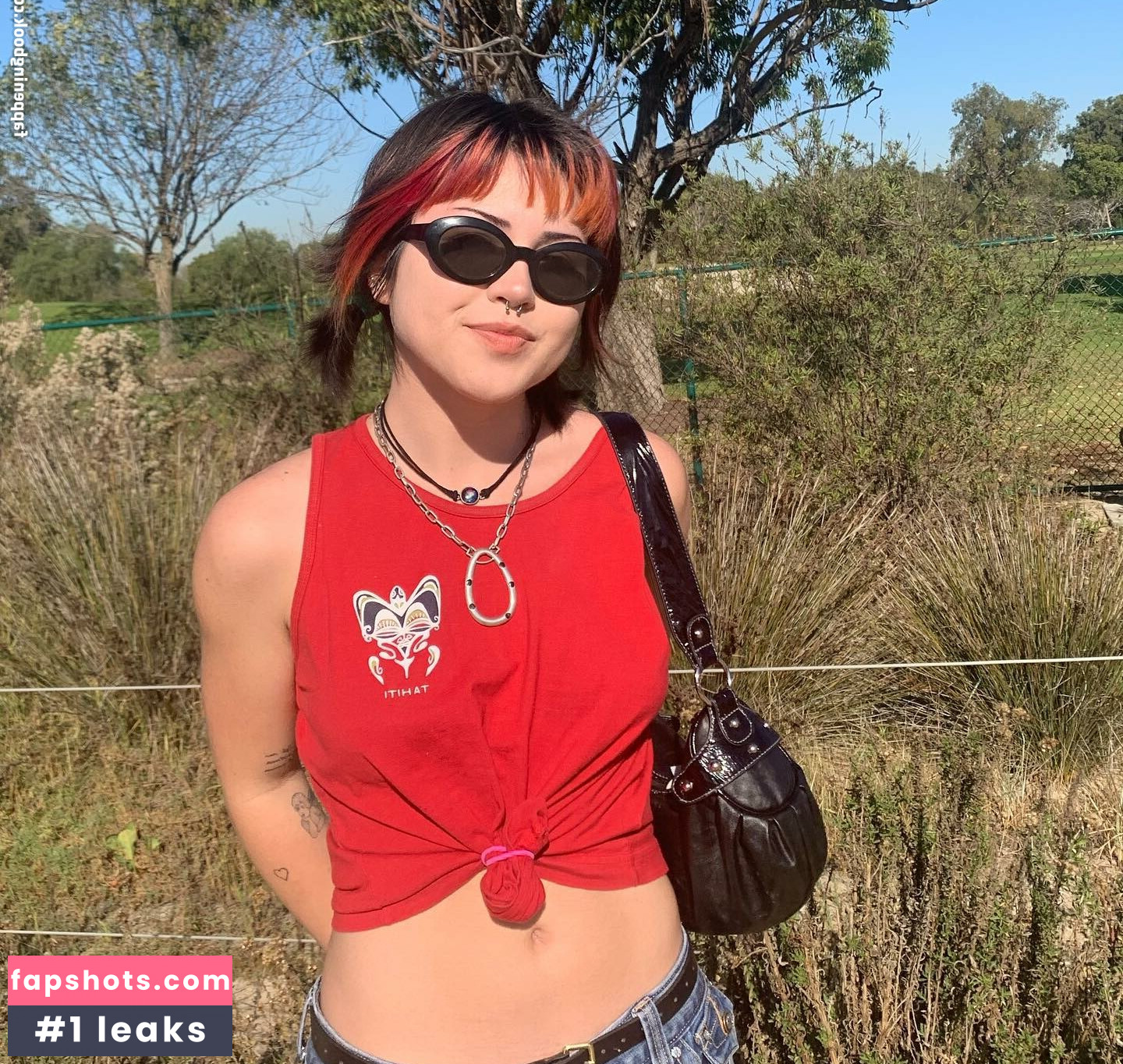 Paris Sun gallery photo #2