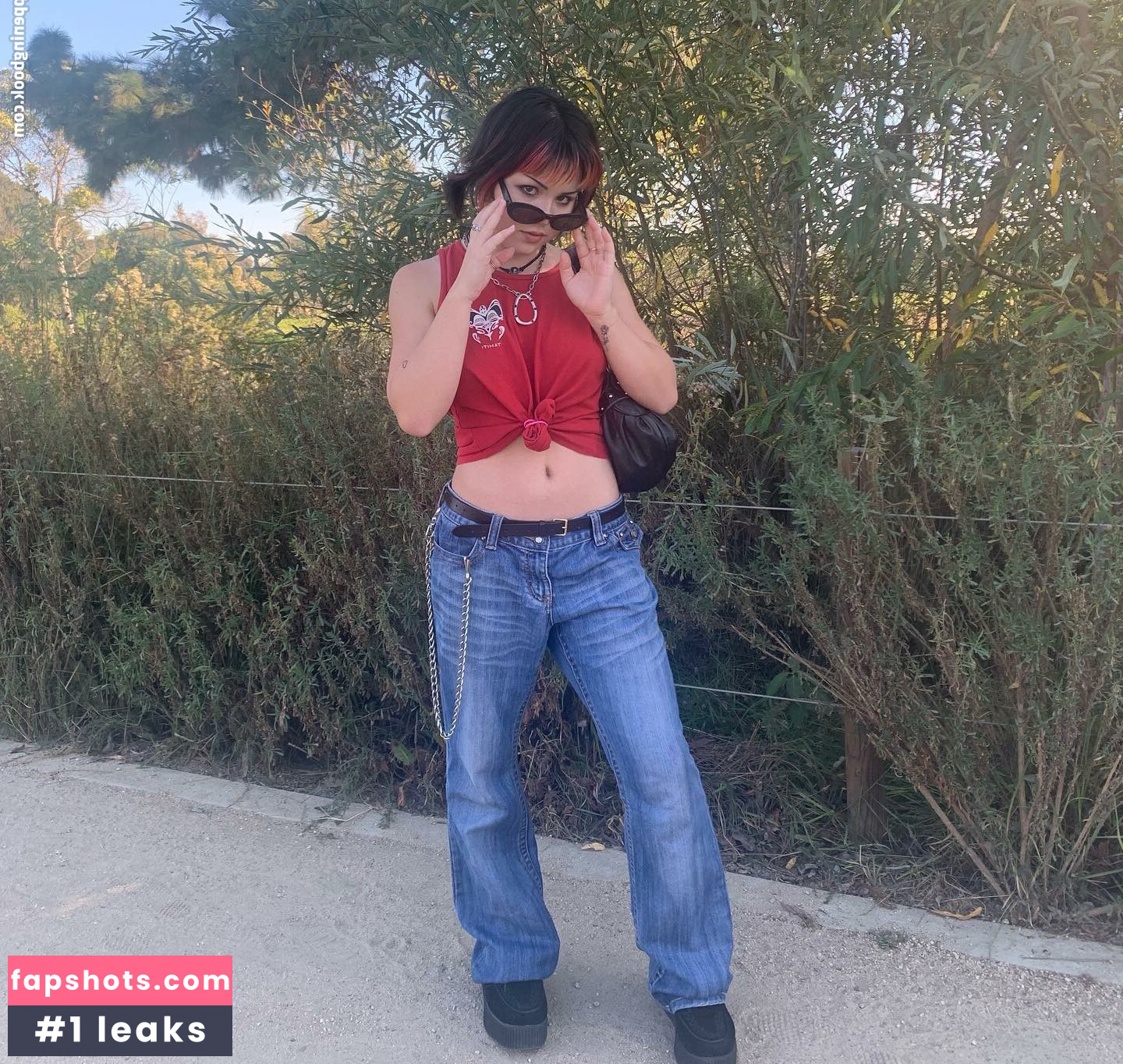 Paris Sun gallery photo #7