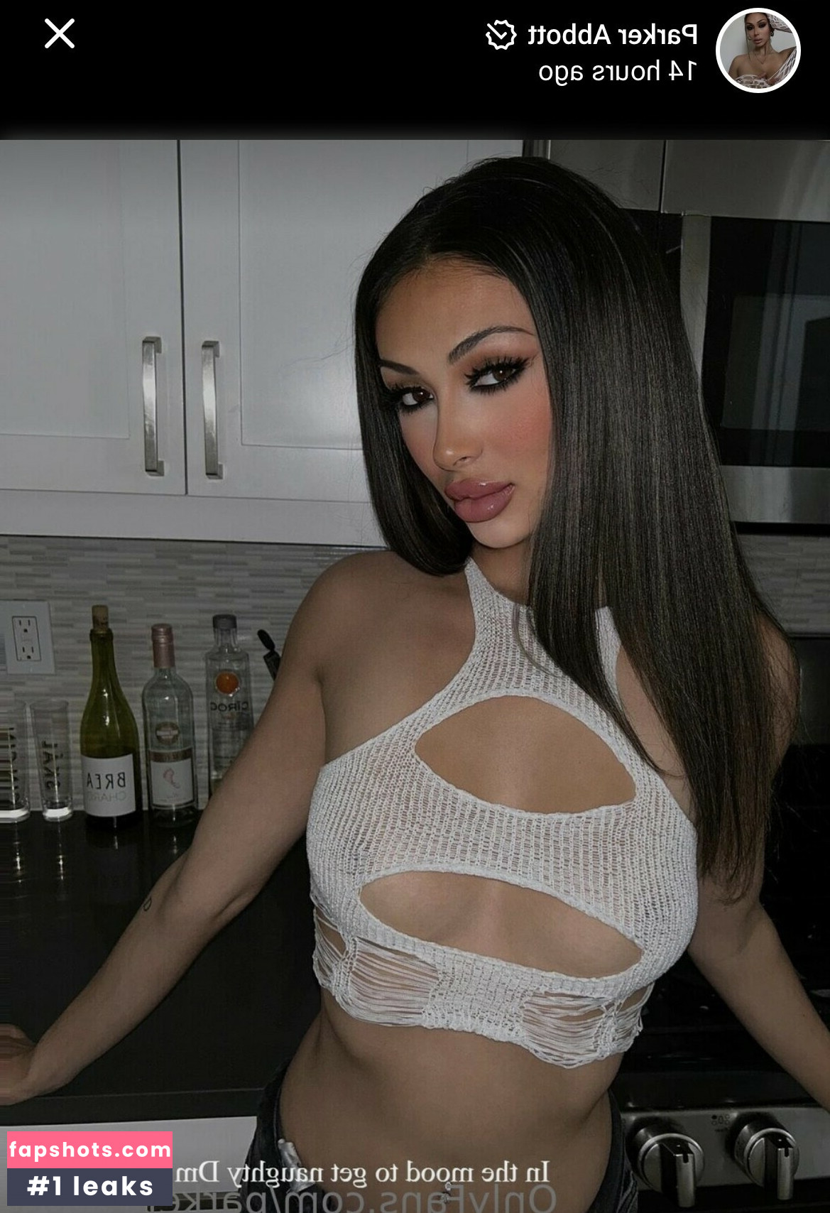 Parker Abbott nude babe gallery